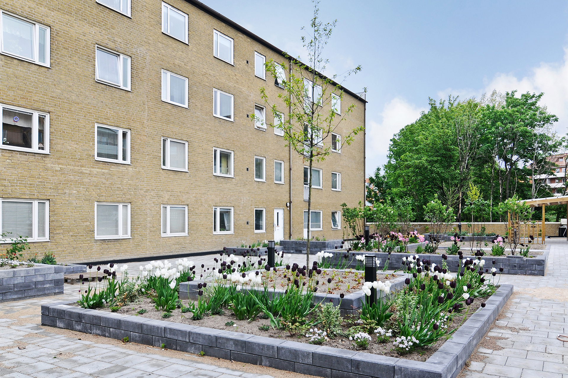 Lägenhet – Malmö, Kirsebergsstaden, Kirseberg - Fler