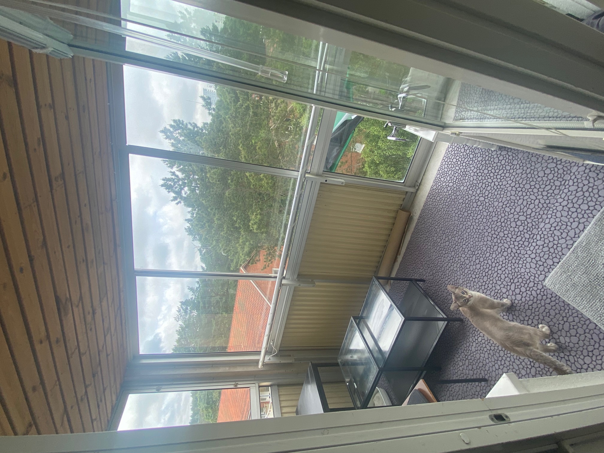 Timgatan, Göteborg — photo 5