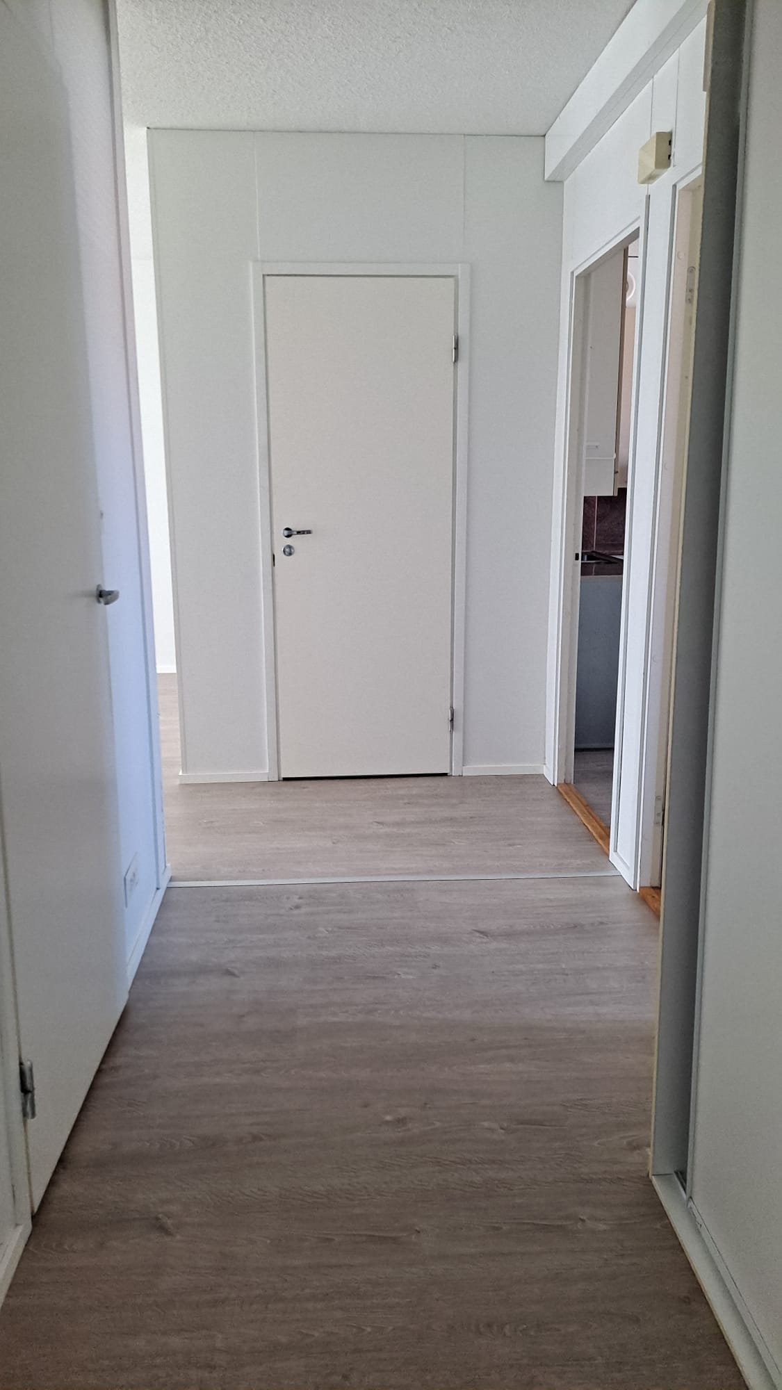 Saunallinen kolmio 5