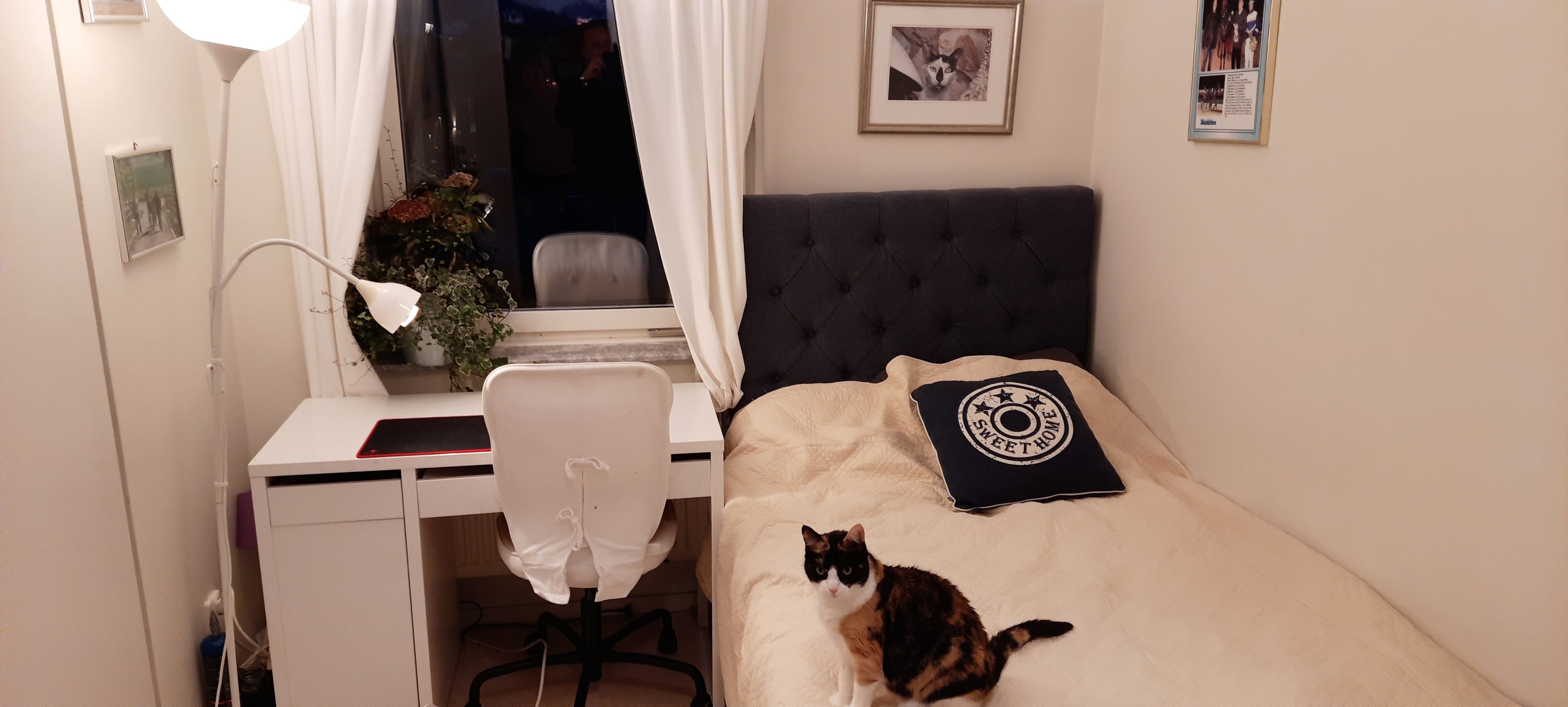 Lägenhet, 1 rooms, 12 sqm, Malmö