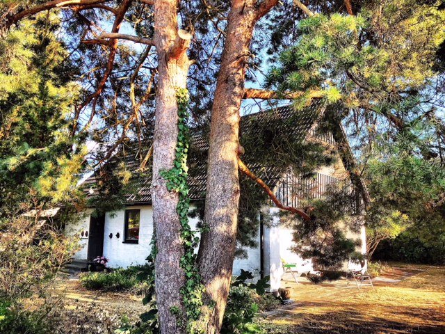 Villa/Hus, 4 rooms, 135 sqm, Falsterbo
