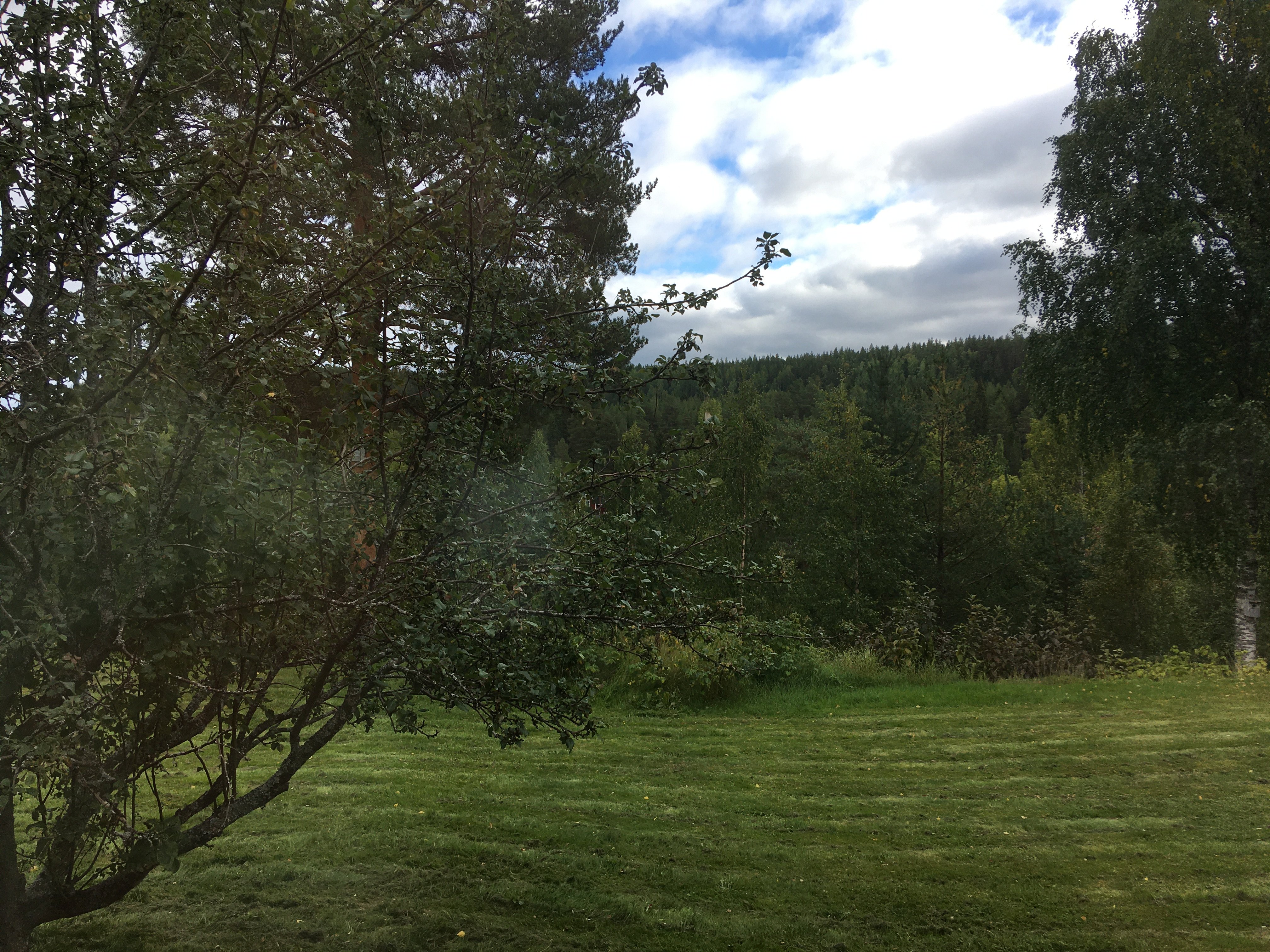 Forsbacka