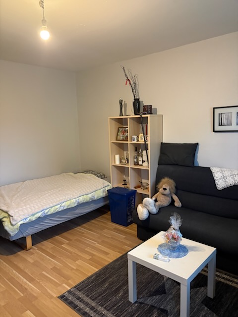 1 rok · 39 m² i Borås – bild 8