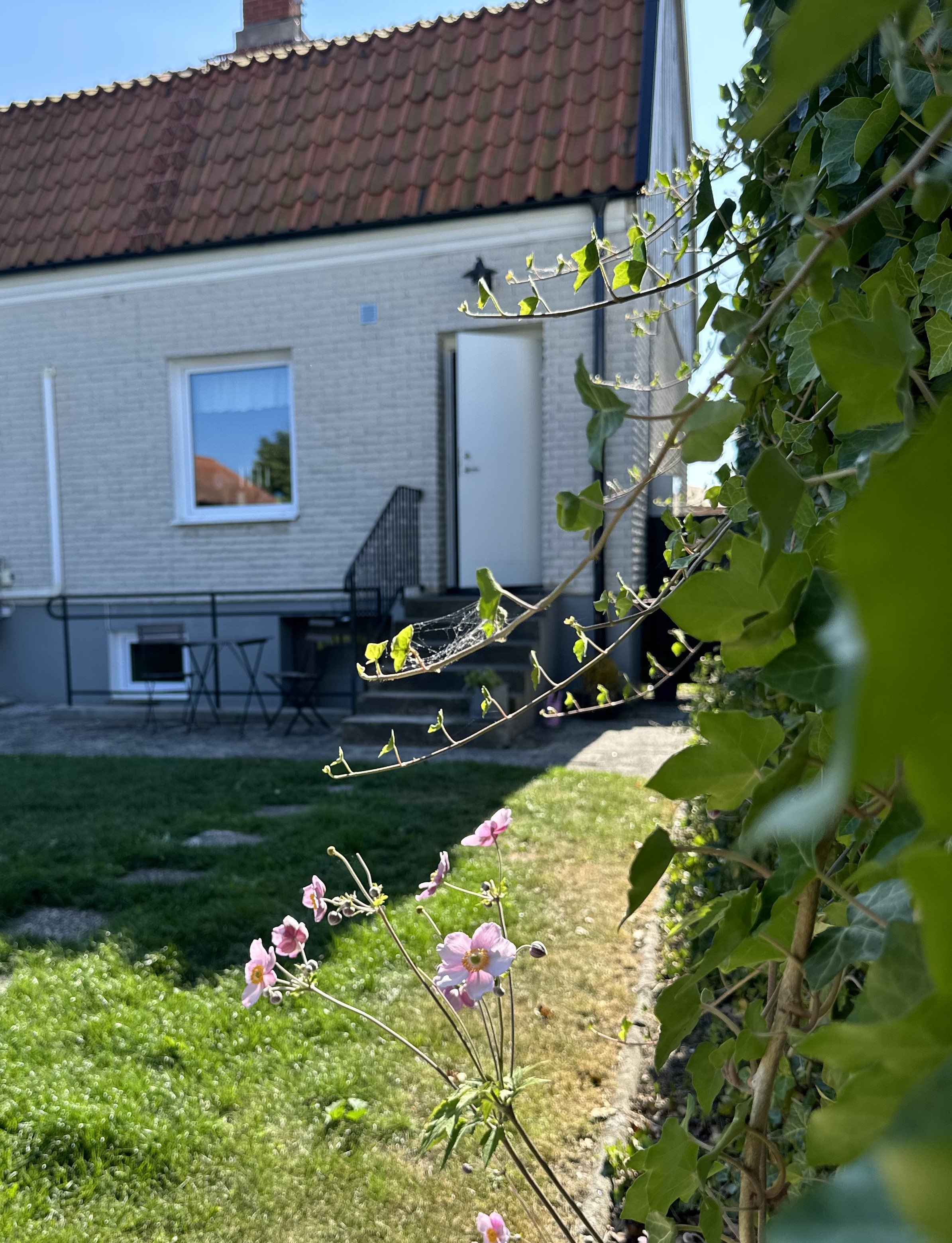 Villa/Hus, 6 rooms, 160 sqm, Borrby