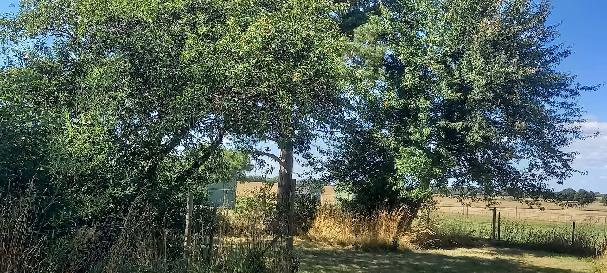 5 rok · 220 m² i Hörby – bild 15