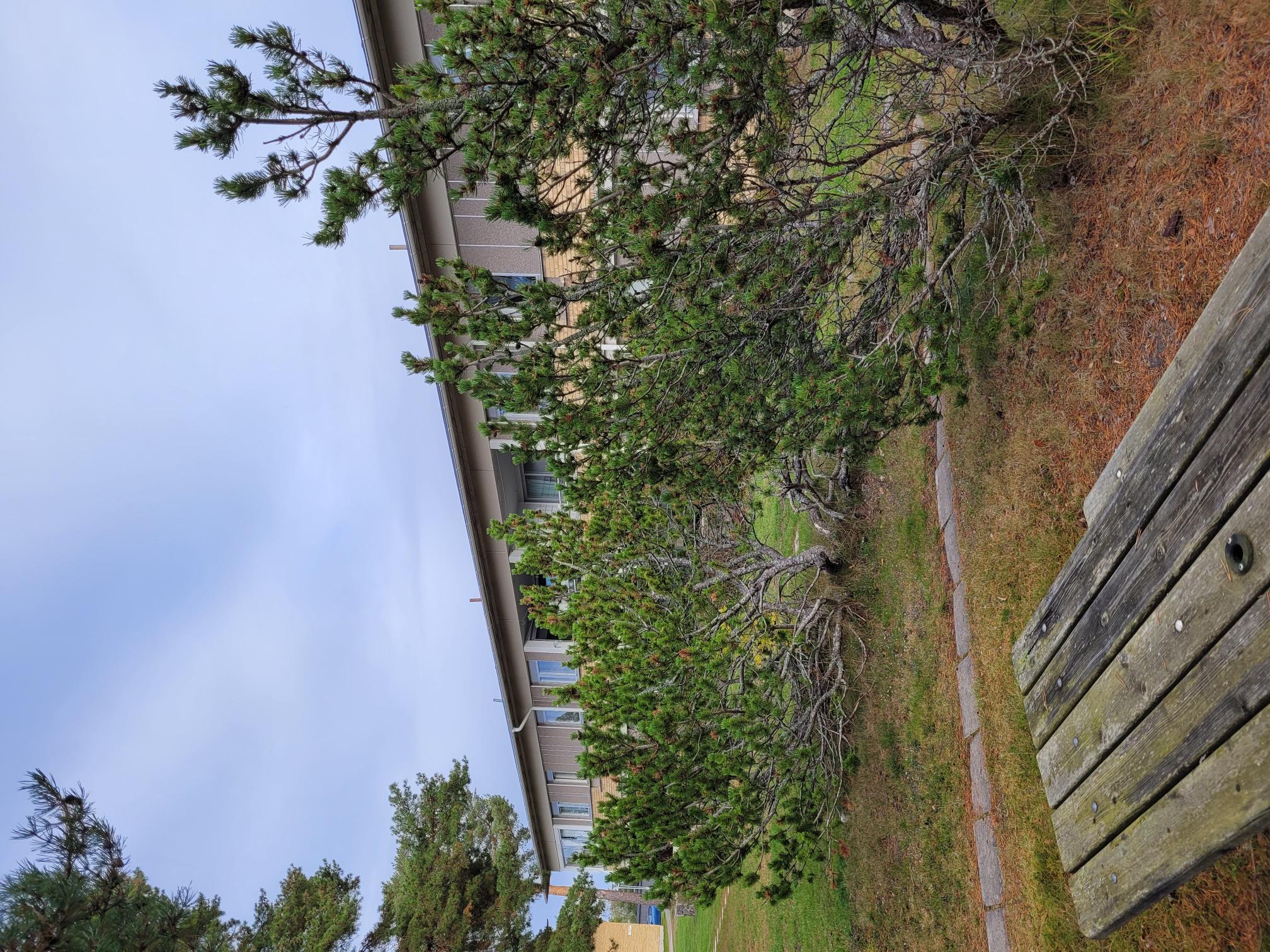 Lägenhet – Trosa, Trosalund, Stockvik - Bild 4