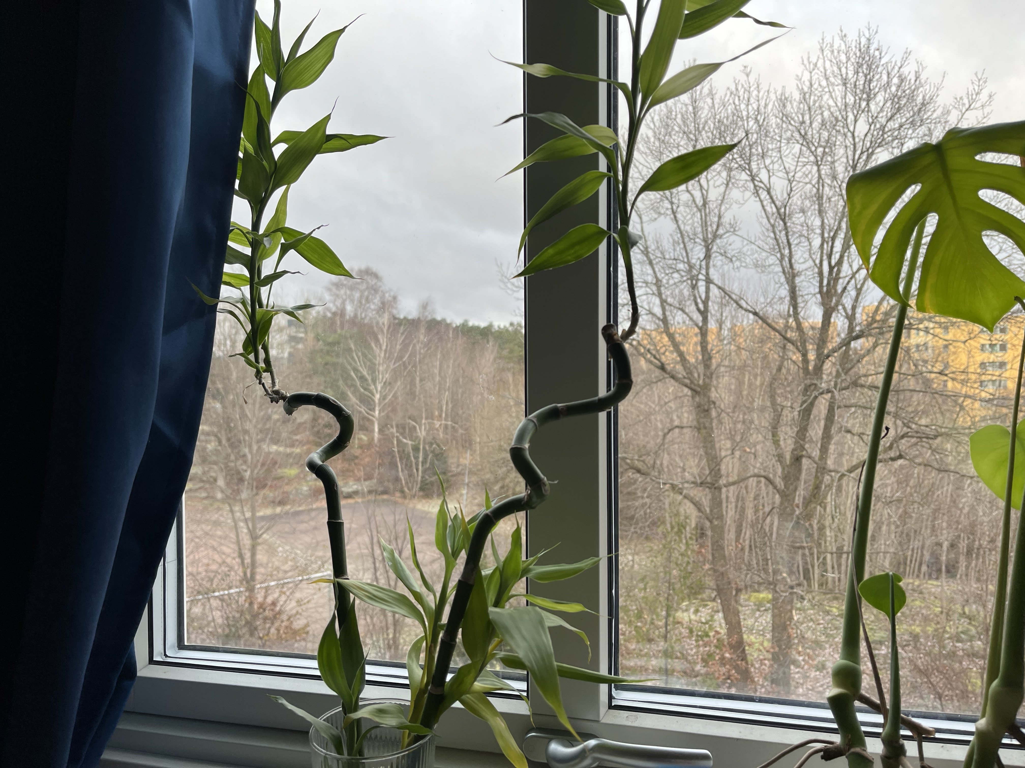 Värmegatan, Göteborg — photo 2