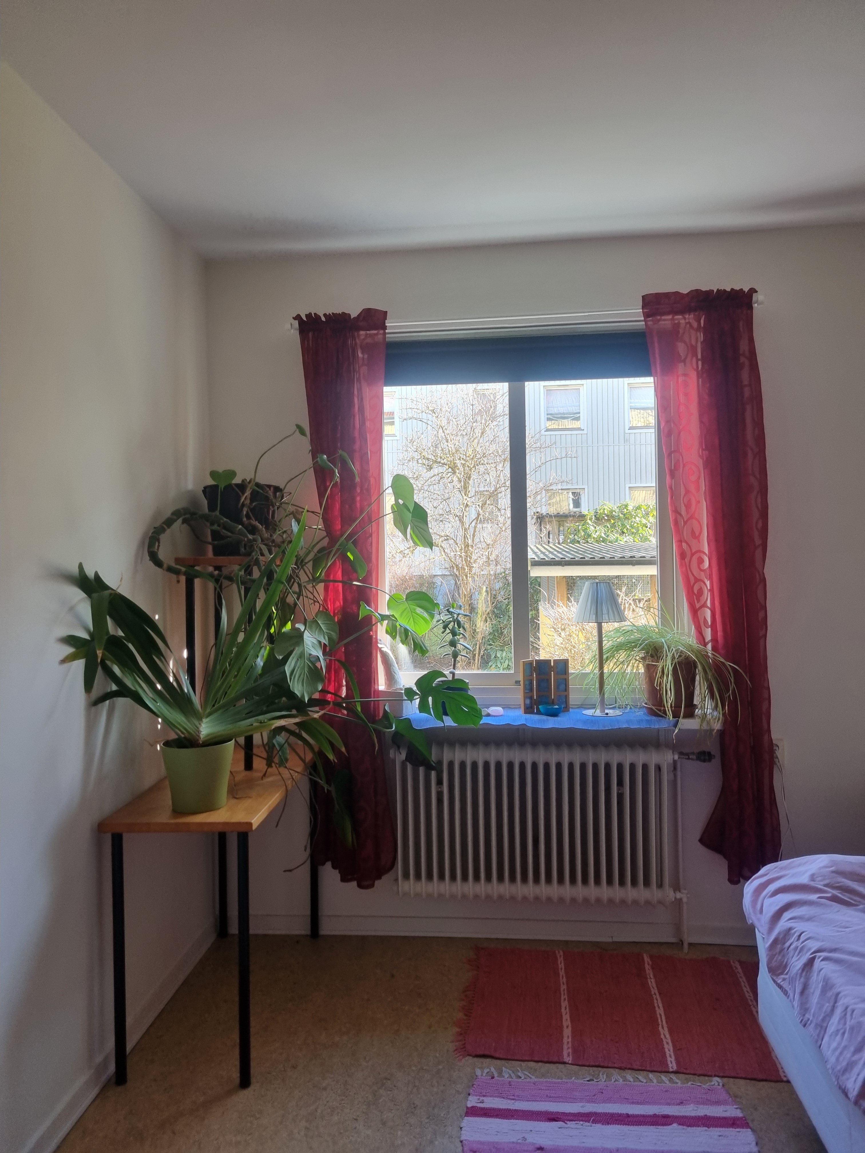 Bautastensgatan, Göteborg — photo 4