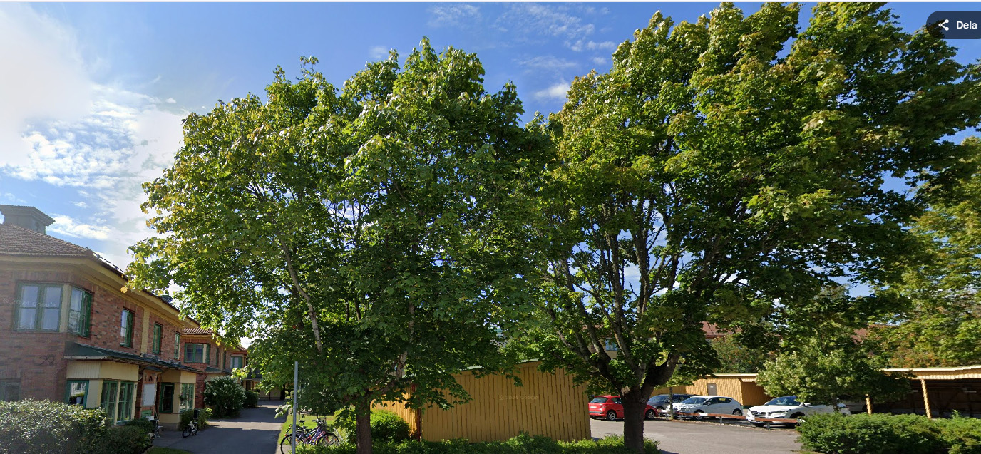 Lundbygatan 33, Örebro