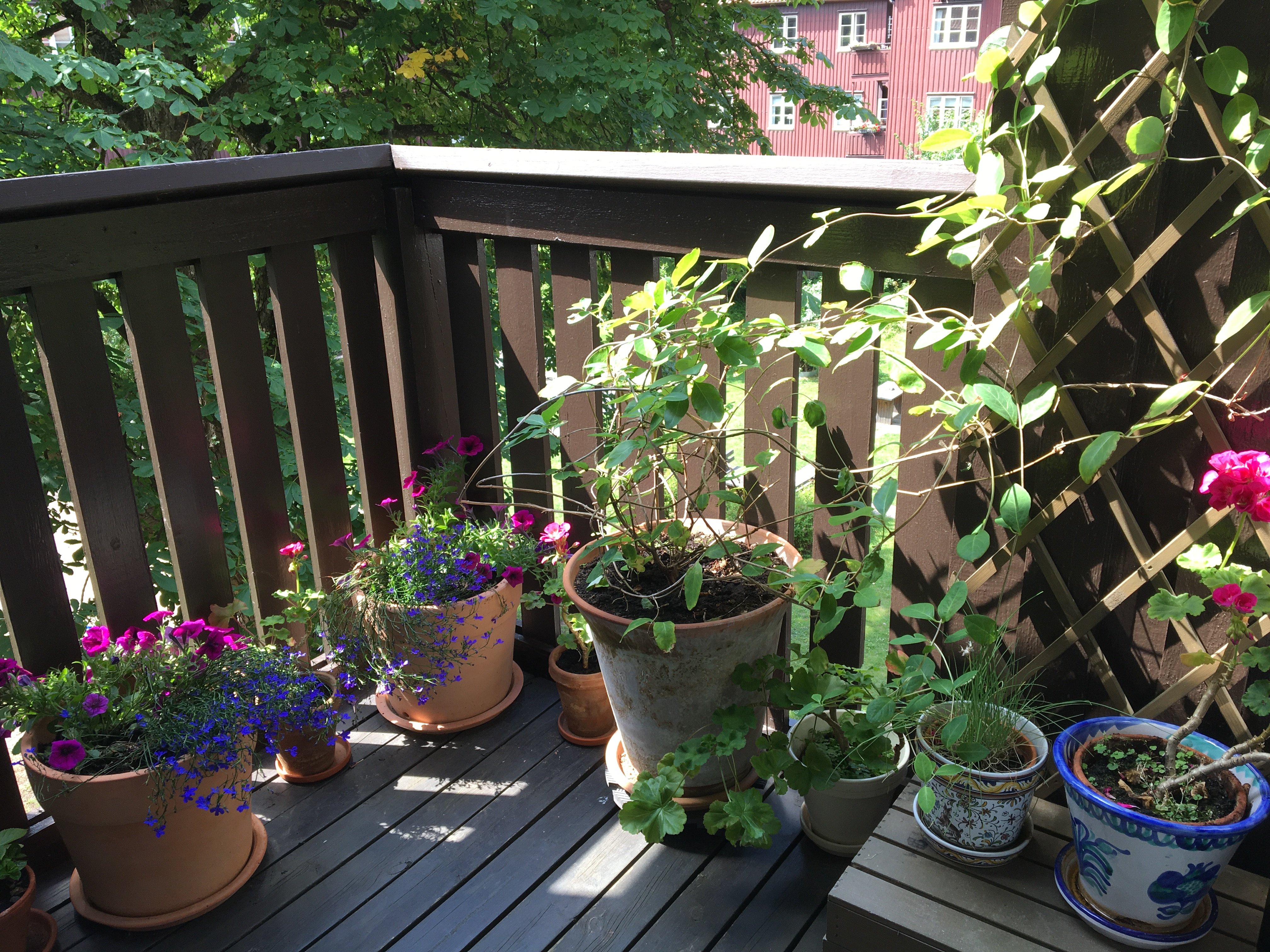 Falkgatan, Göteborg — photo 5