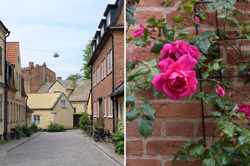 Lilla Tomegatan, Lund — photo 5