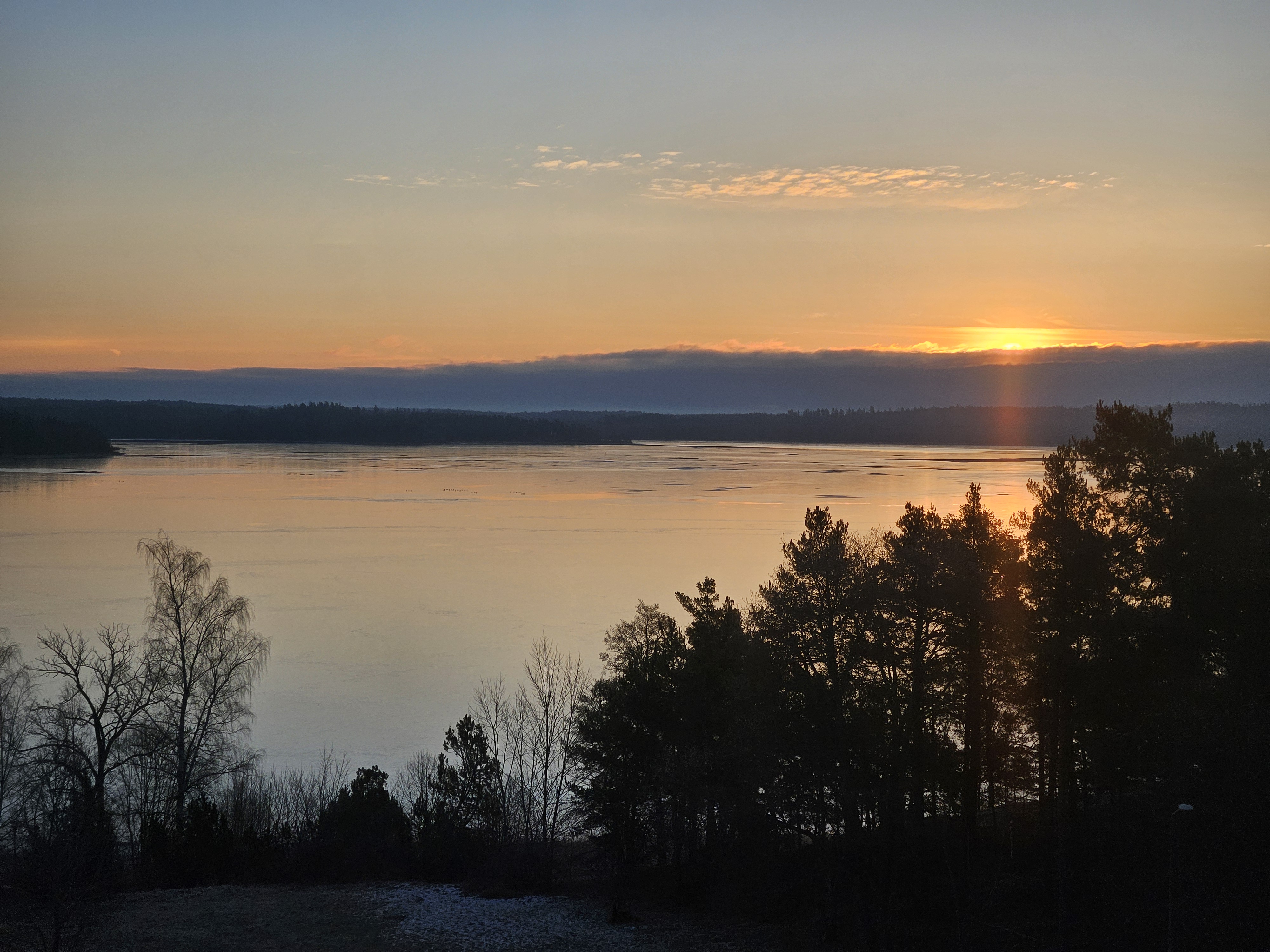 Måsvägen