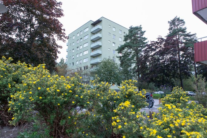 Regementsgatan 49
