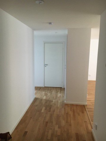 Högamöllegatan, Malmö — photo 2