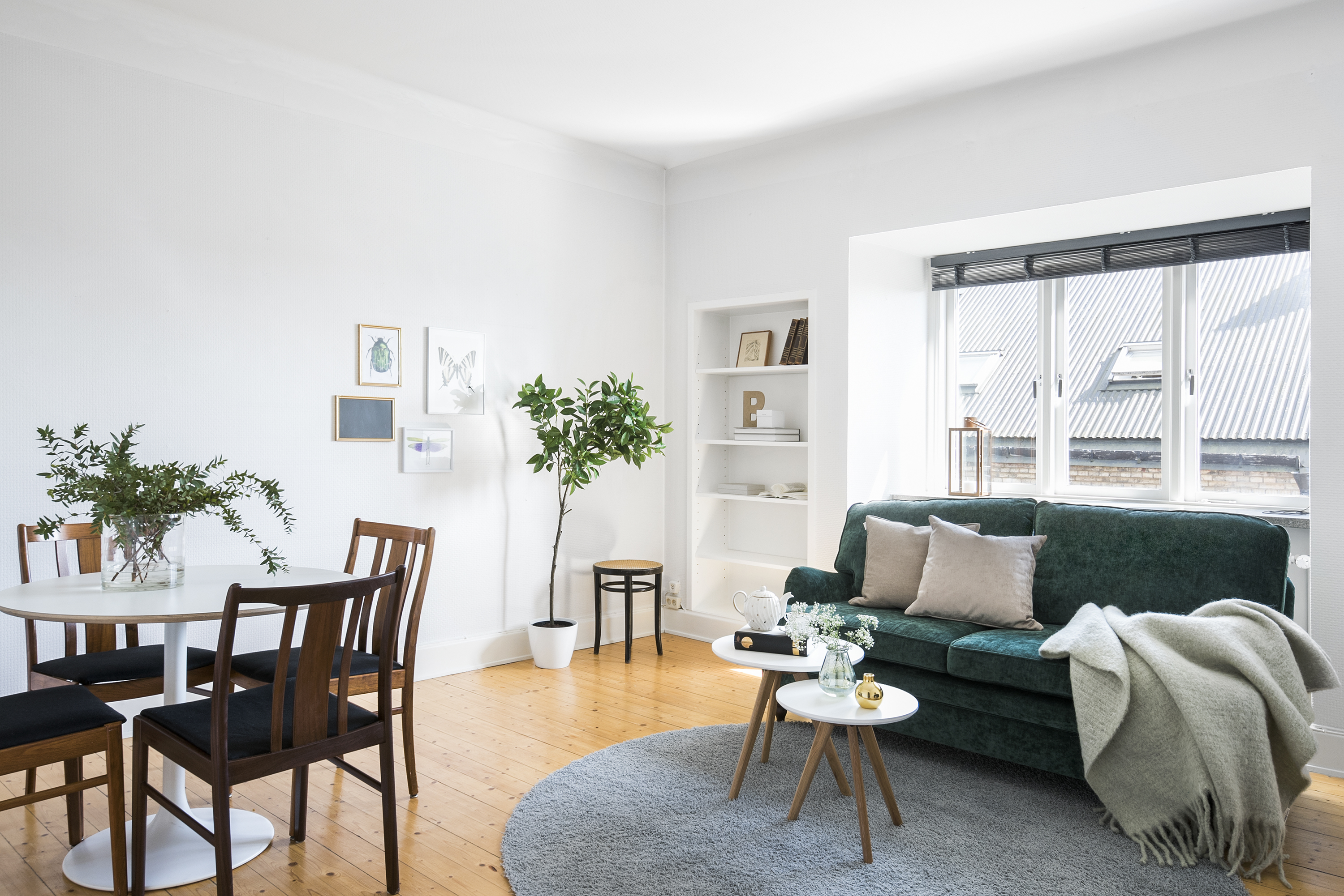 Lilla Tomegatan, Lund