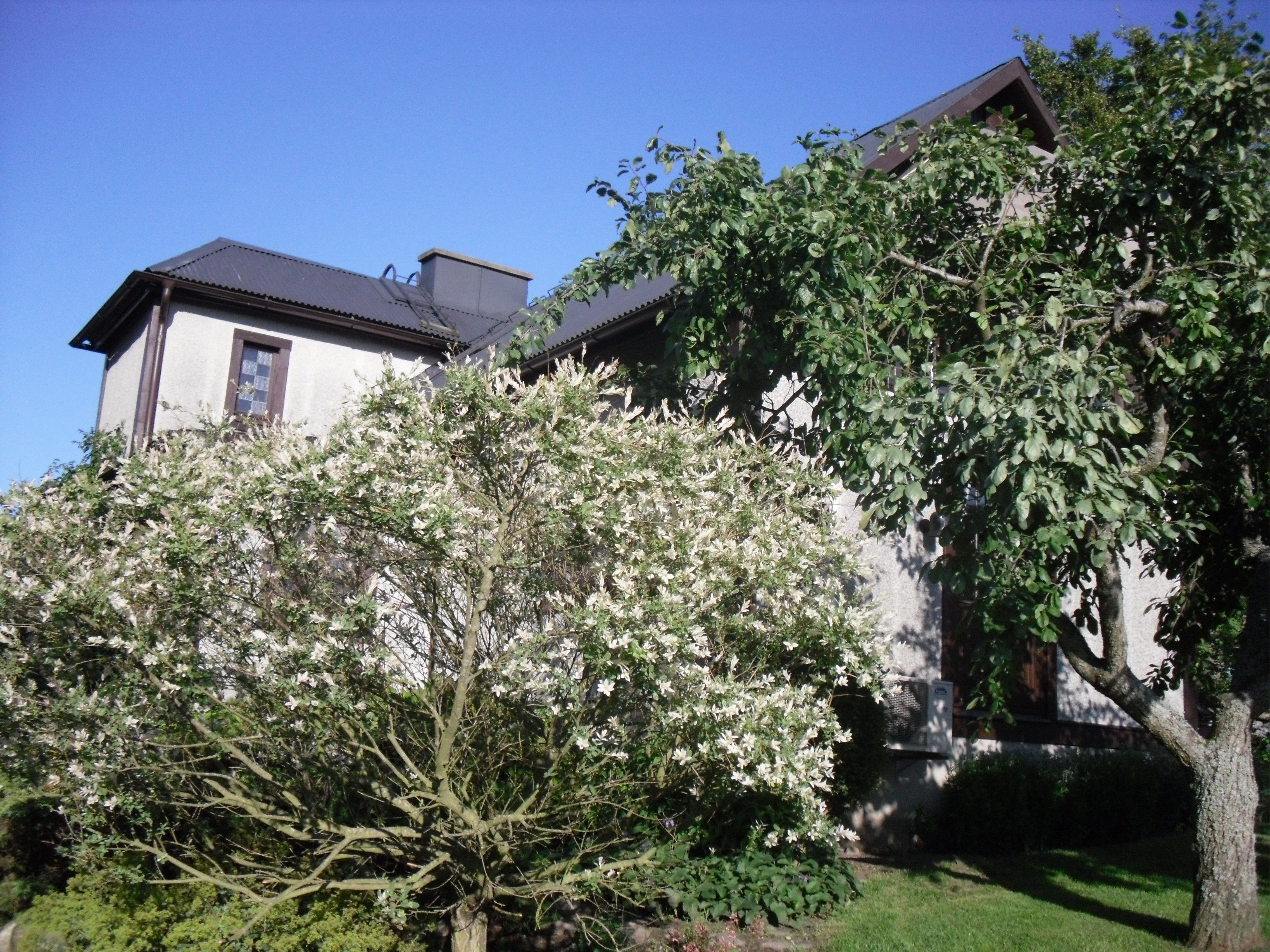 House in Karlshamn, Tubbaryd, Knutsberg - Fler