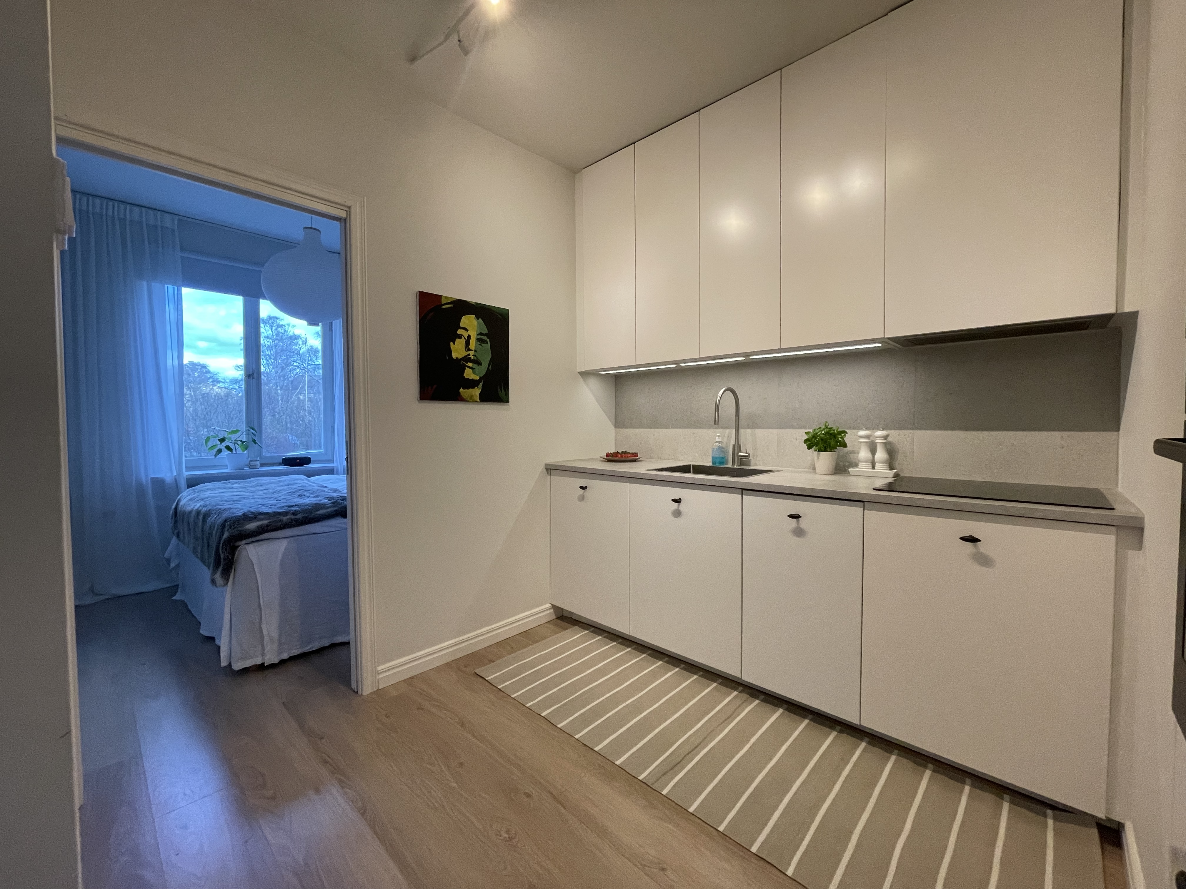 Höganäsgatan, Uppsala — photo 3