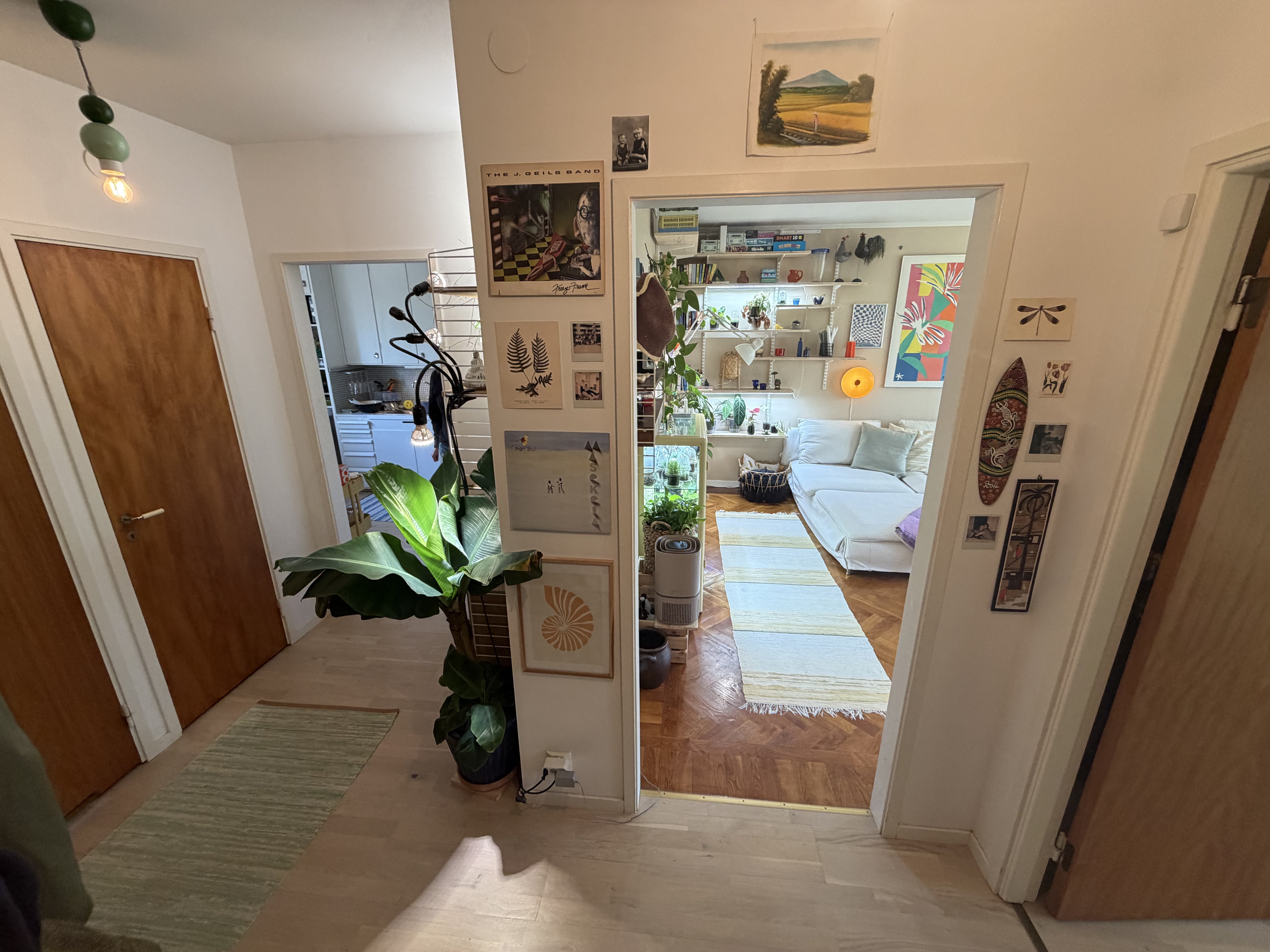 Doktor Bex Gata, Göteborg — photo 3