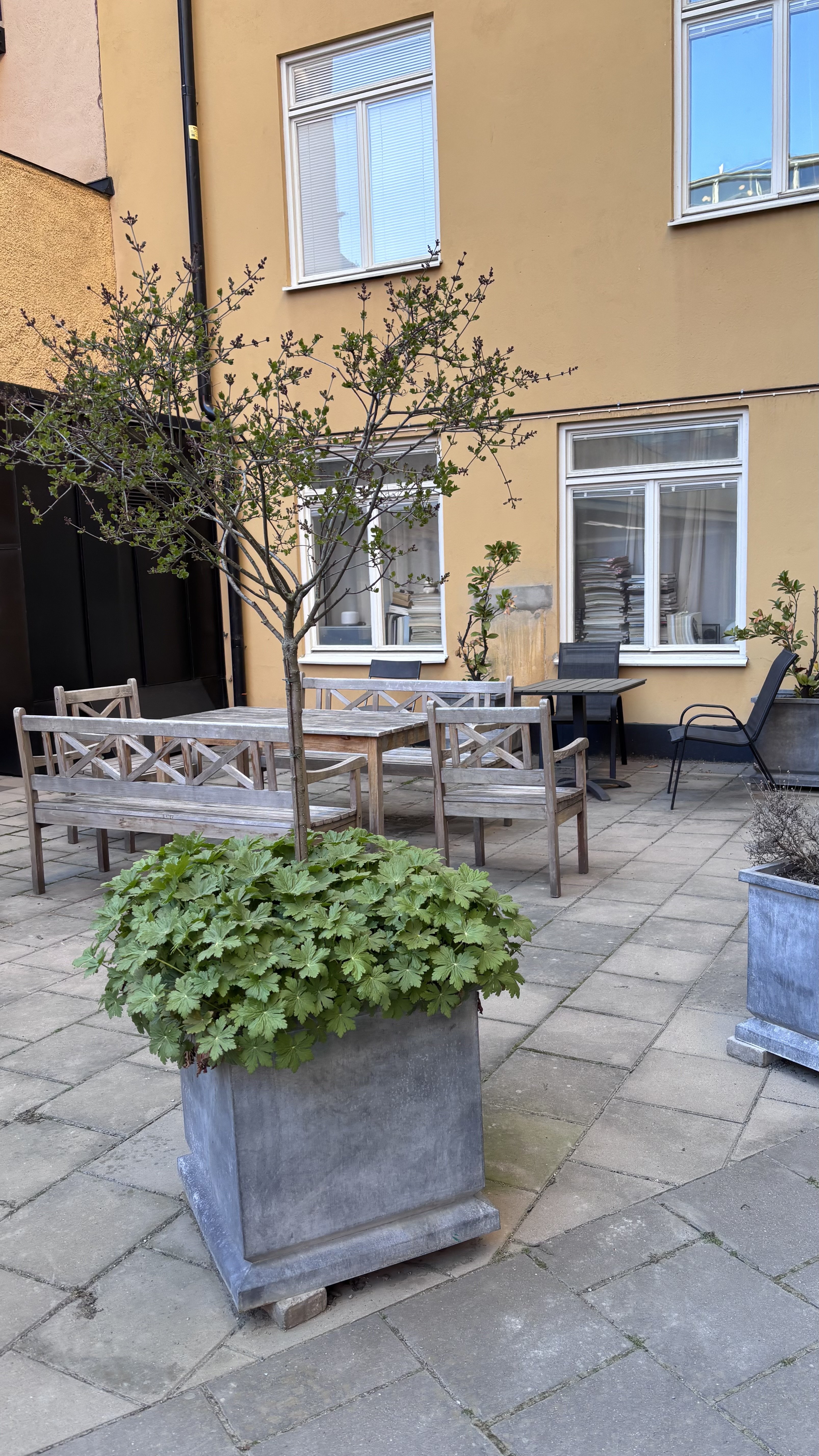 3 rum och kök, Stockholm — 16 000 kr/mån — bild 3