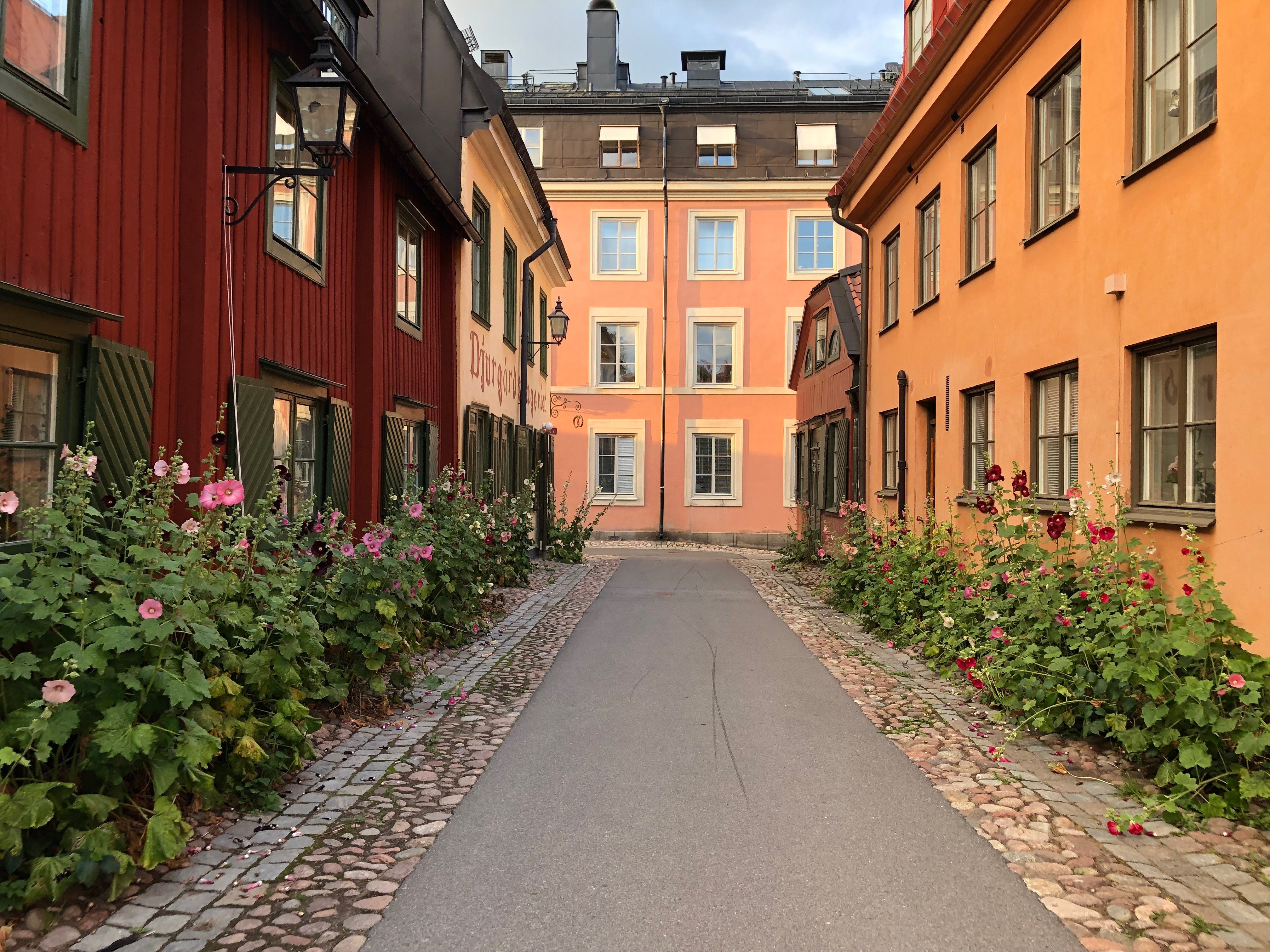 Breda gatan, Stockholm — photo 3