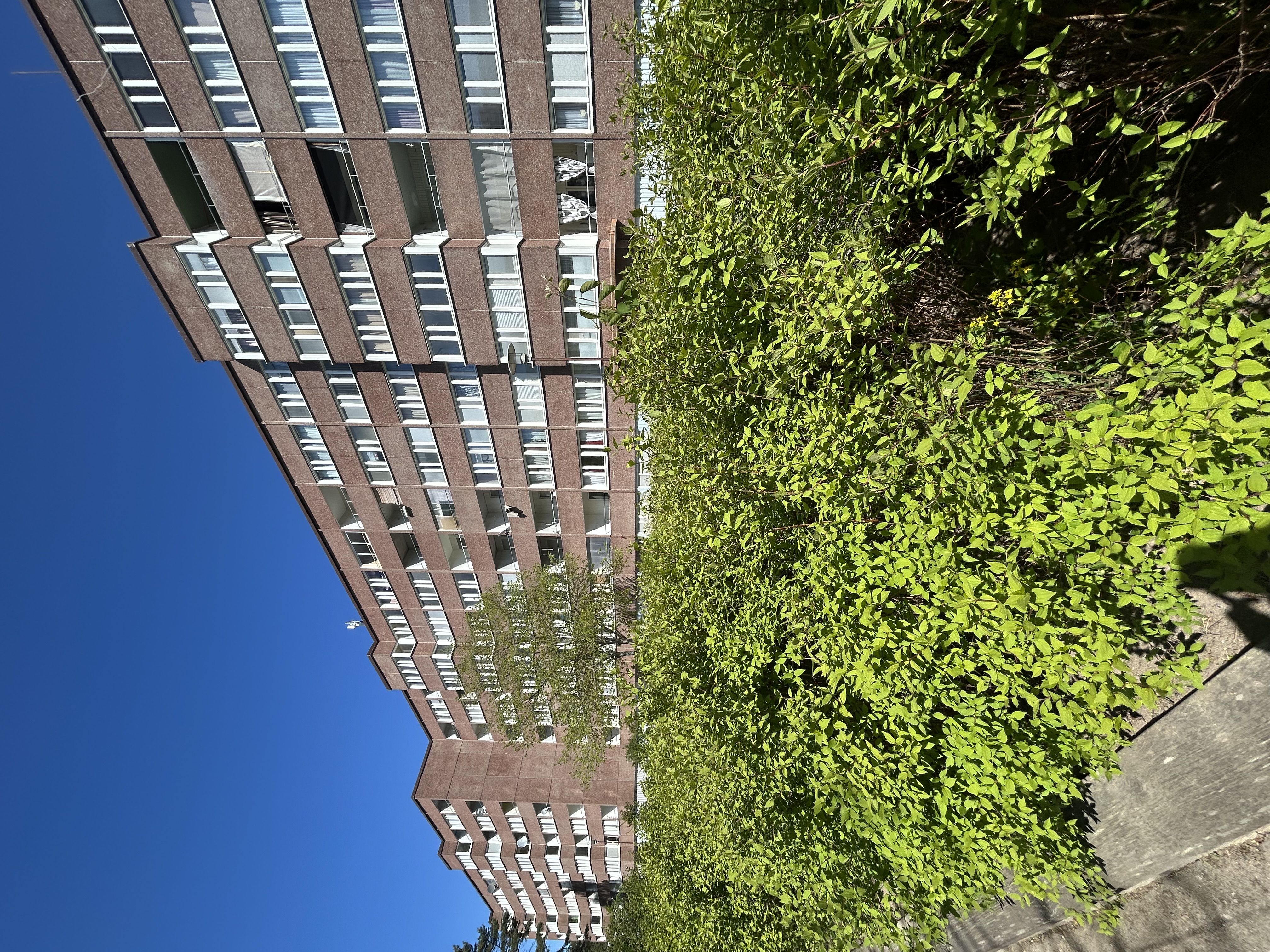 2 rok · 67 m² i Västerås