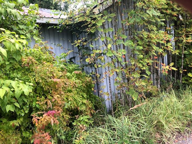 Mökki  oh/keittotila + mh + sh/wc, varasto yht. n. 38 m2 3