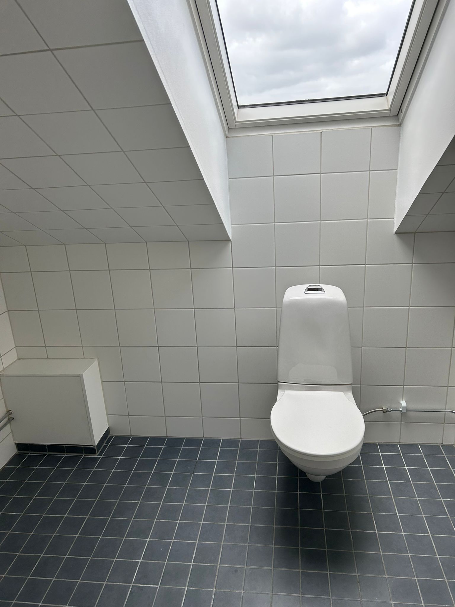 Hasselgatan, Malmö — photo 3