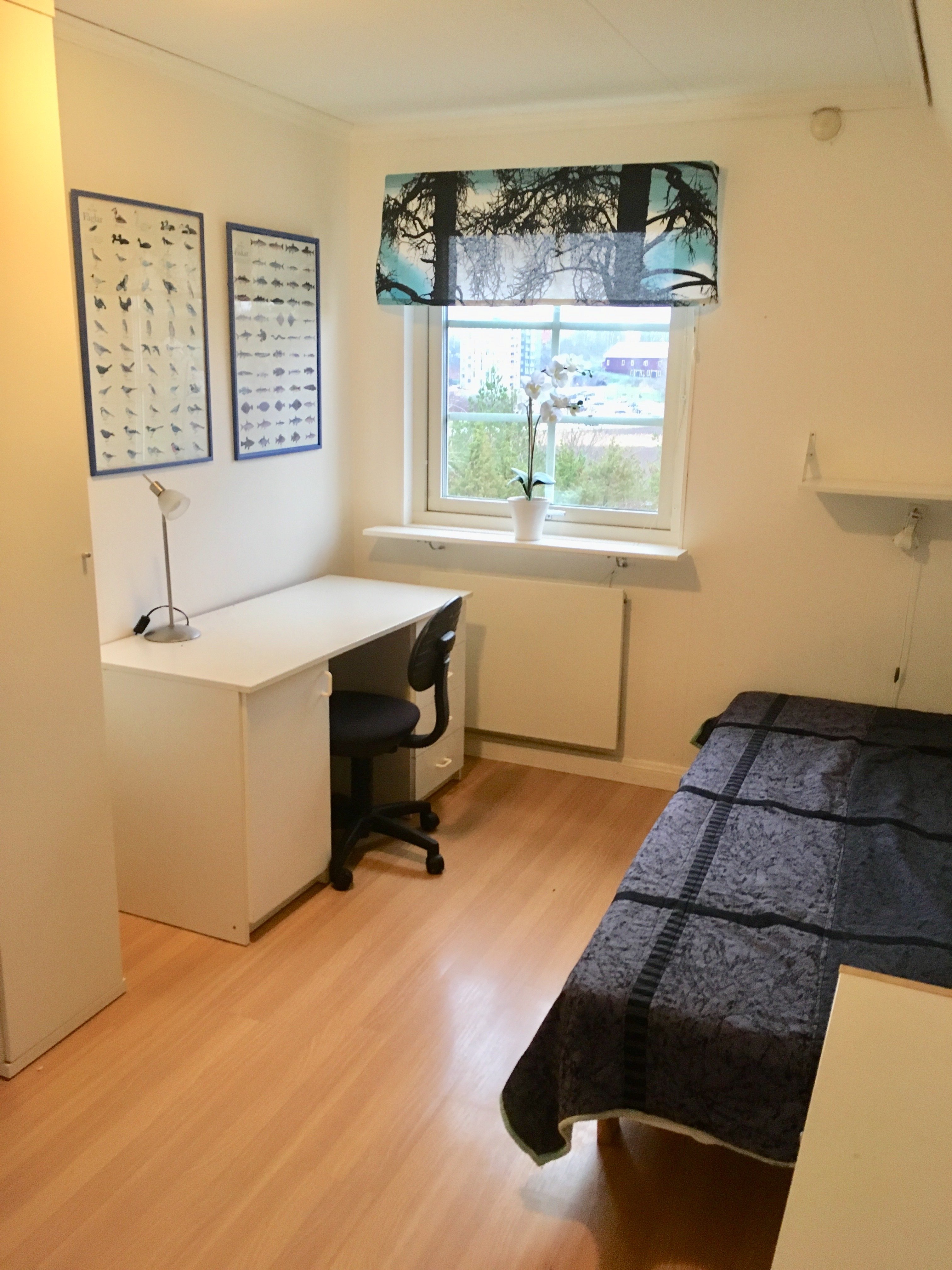 Villa/Hus, 1 rum, 13 kvm, Norrköping