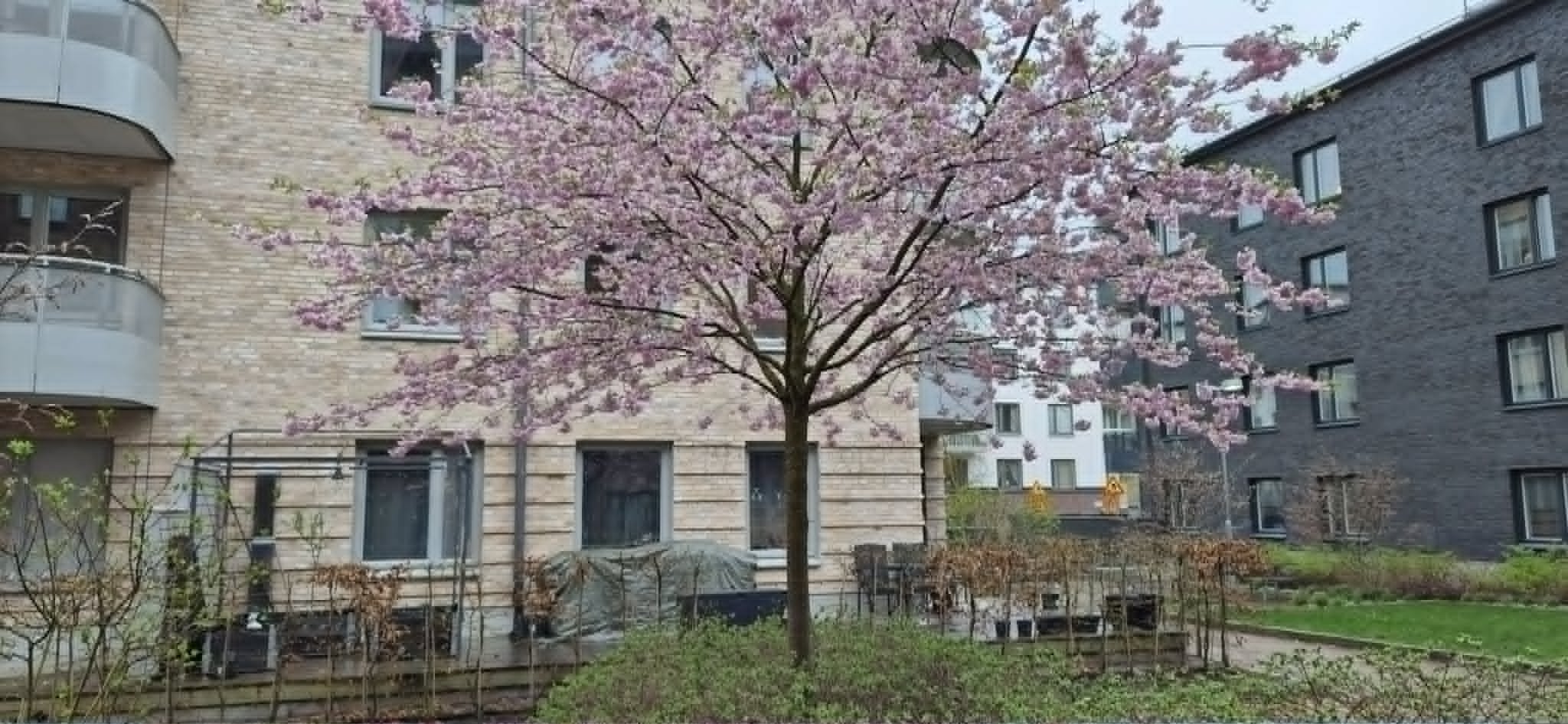 Lägenhet, 3 rooms, 73 sqm, Järfälla