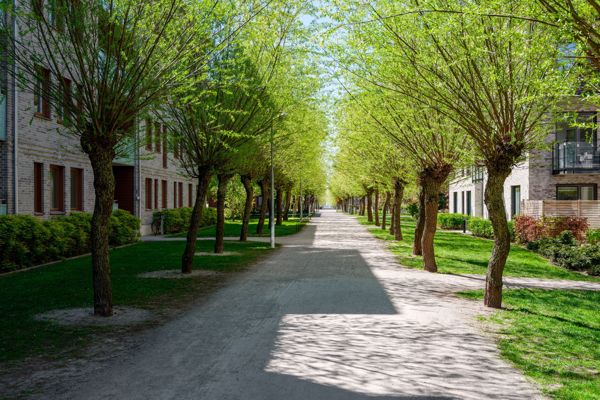 1 rok · 35 m² i Malmö – bild 2