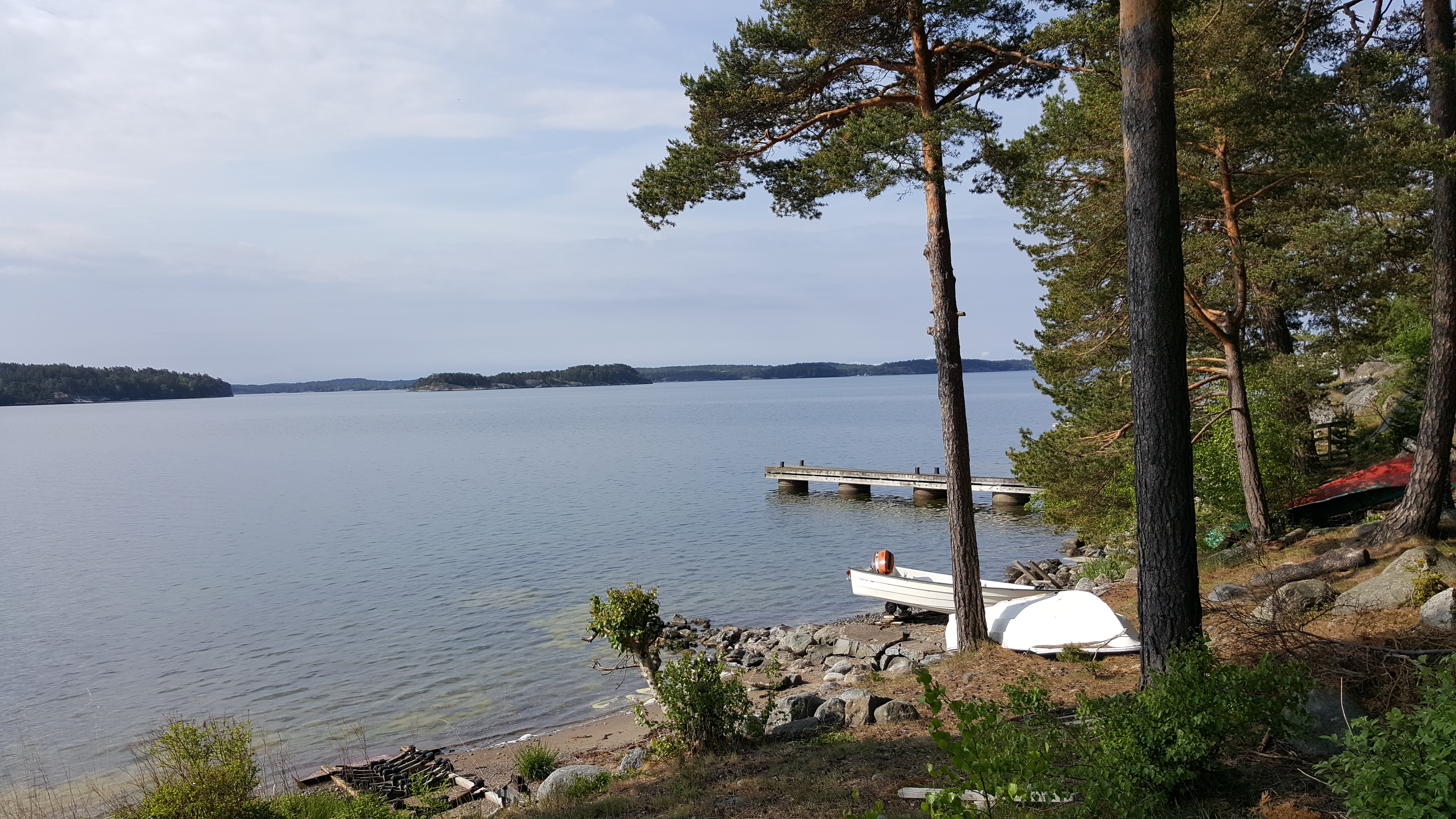 Gäddstigen