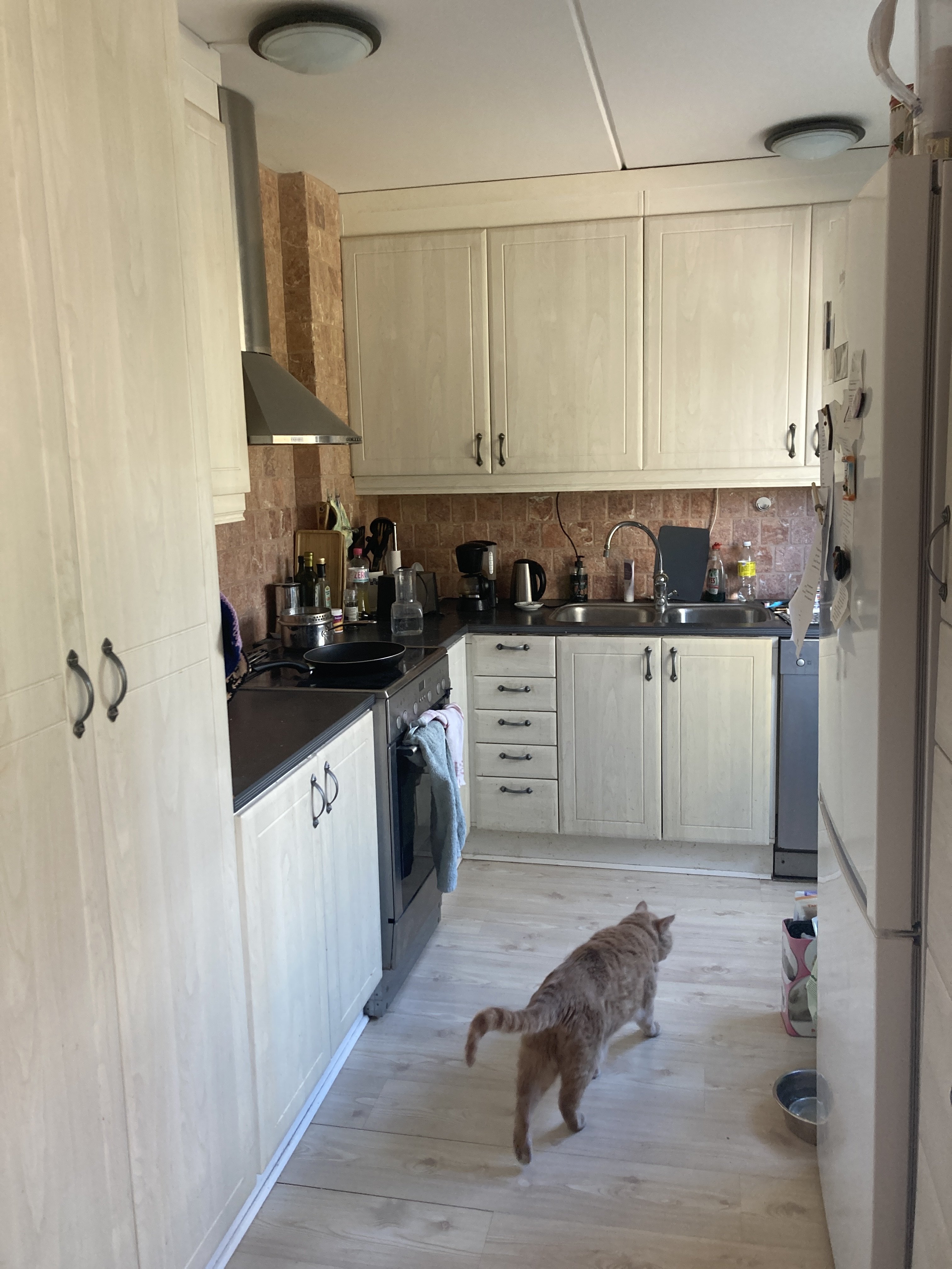 Aktrisgatan, Malmö — photo 2