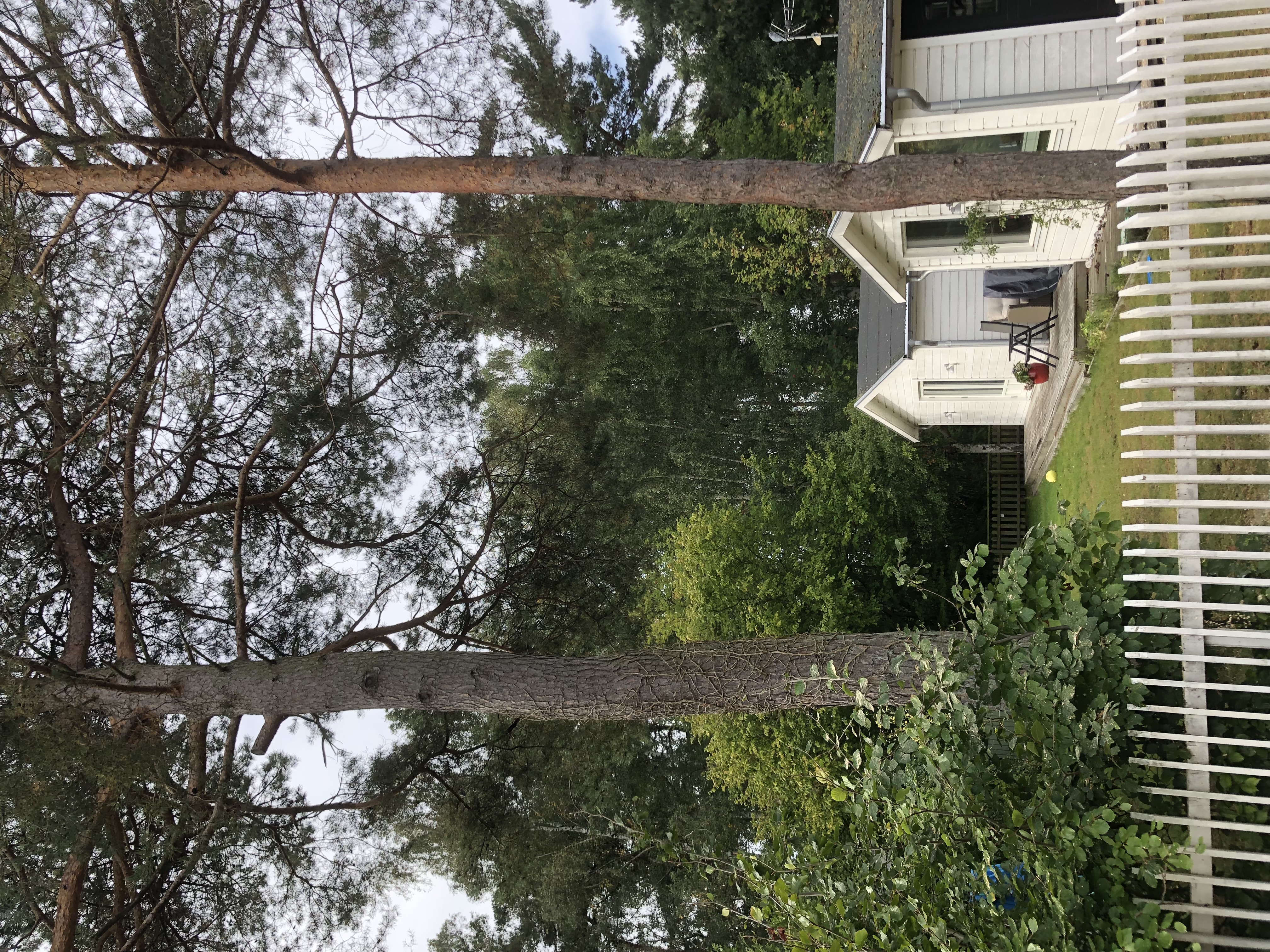 Hyresbostad på Höllviken i hollviken