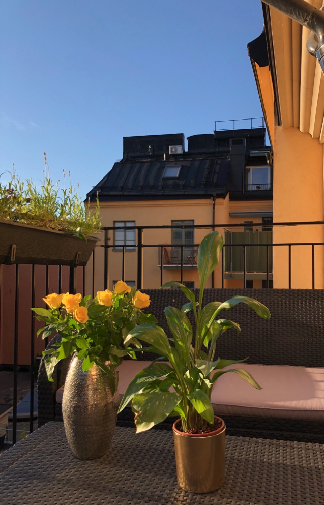 Sibyllegatan, Stockholm