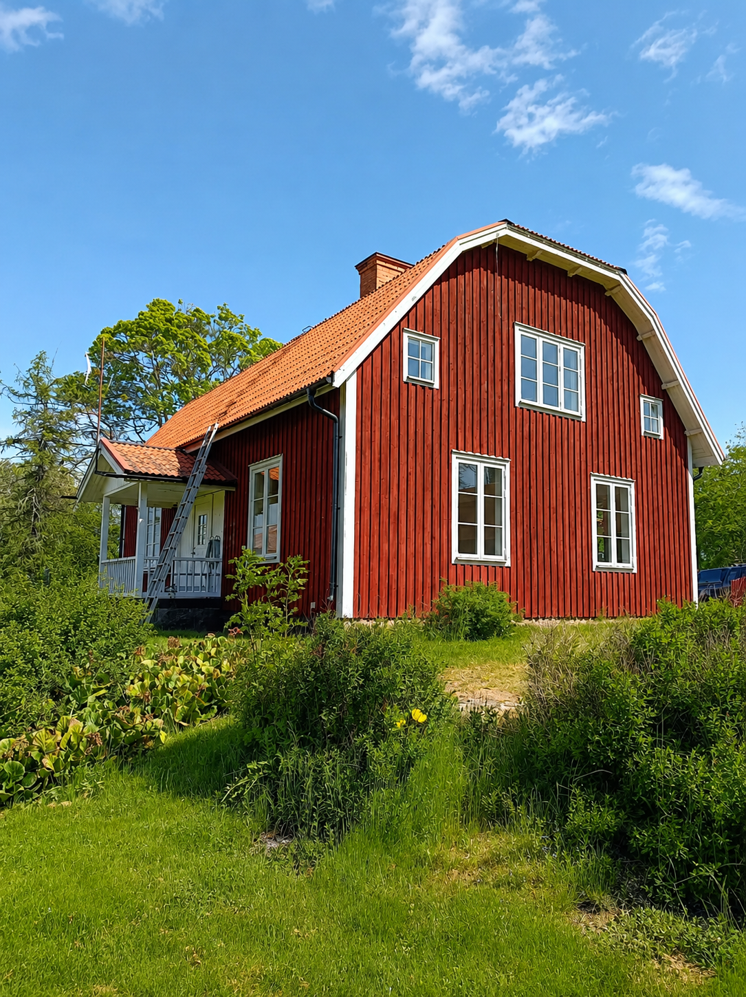 Thorönsborg