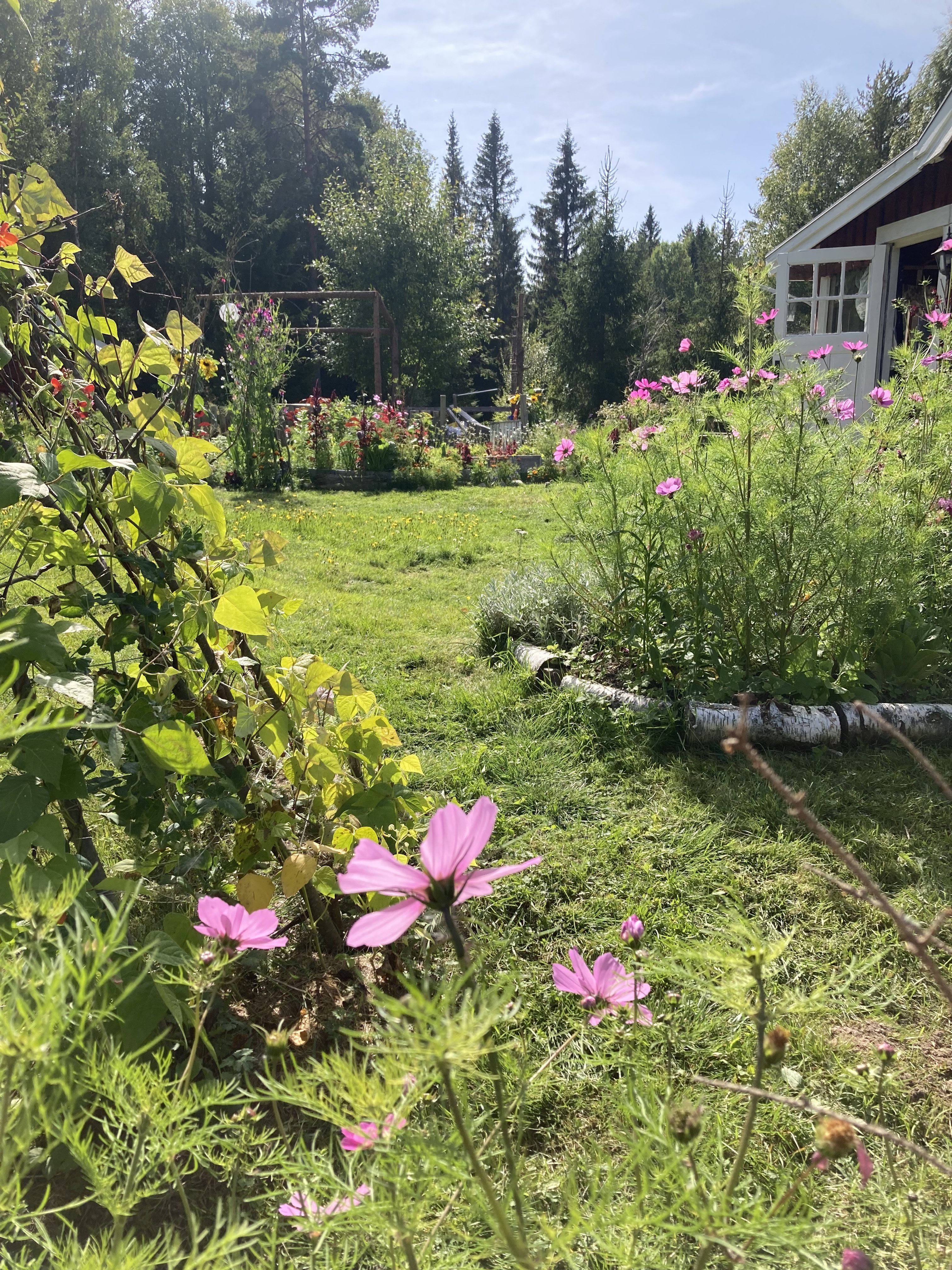 3 rok · 70 m² i Svärdsjö – bild 9
