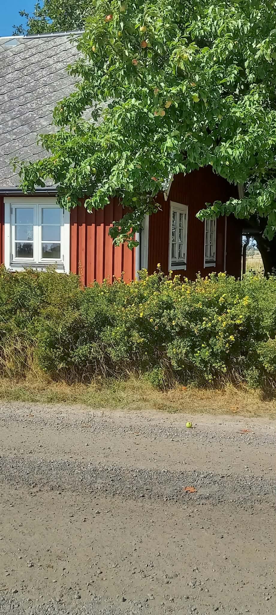 5 rok · 220 m² i Hörby – bild 9