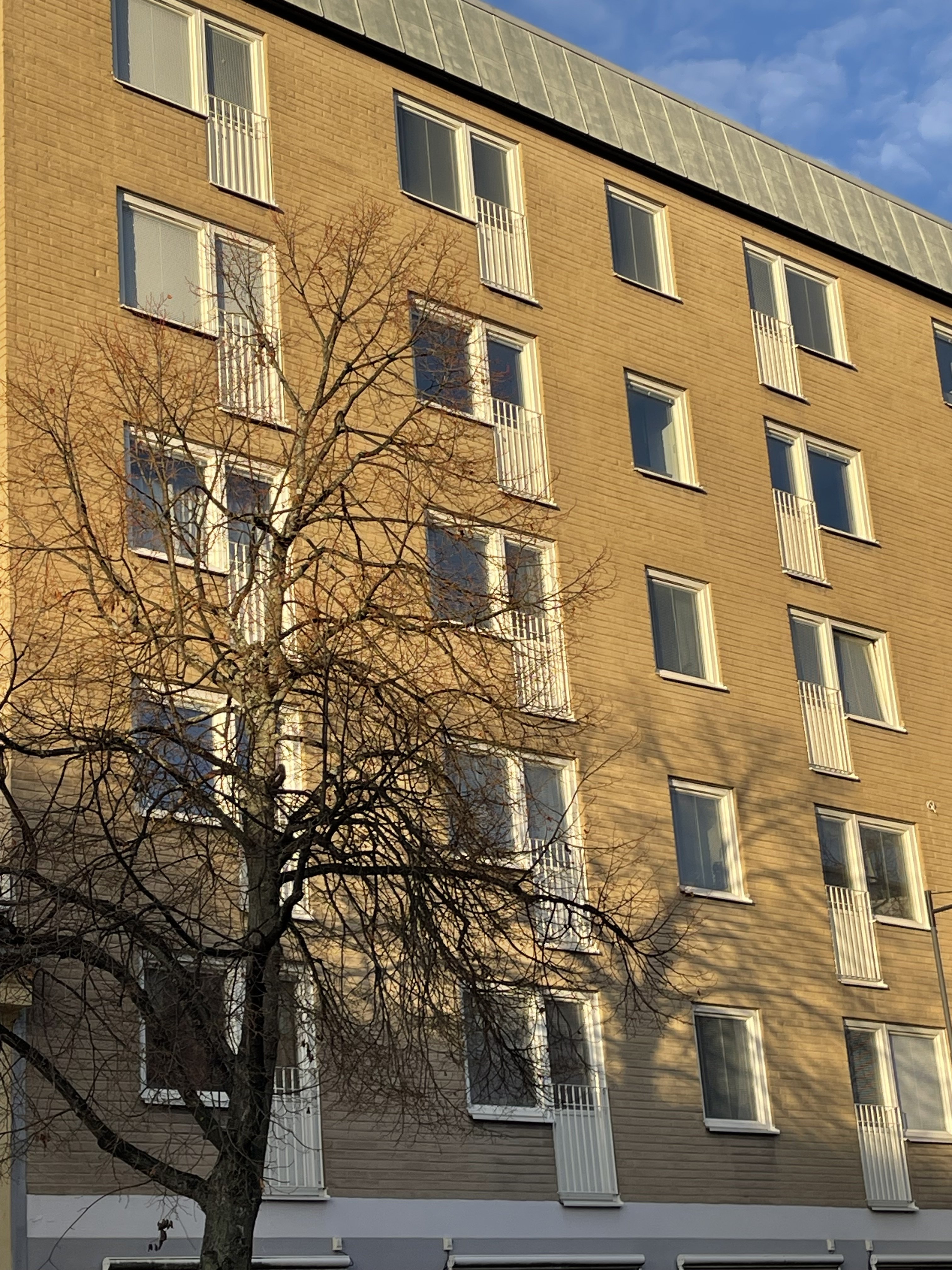 Lägenhet, 2 rum, 65 kvm, Uppsala