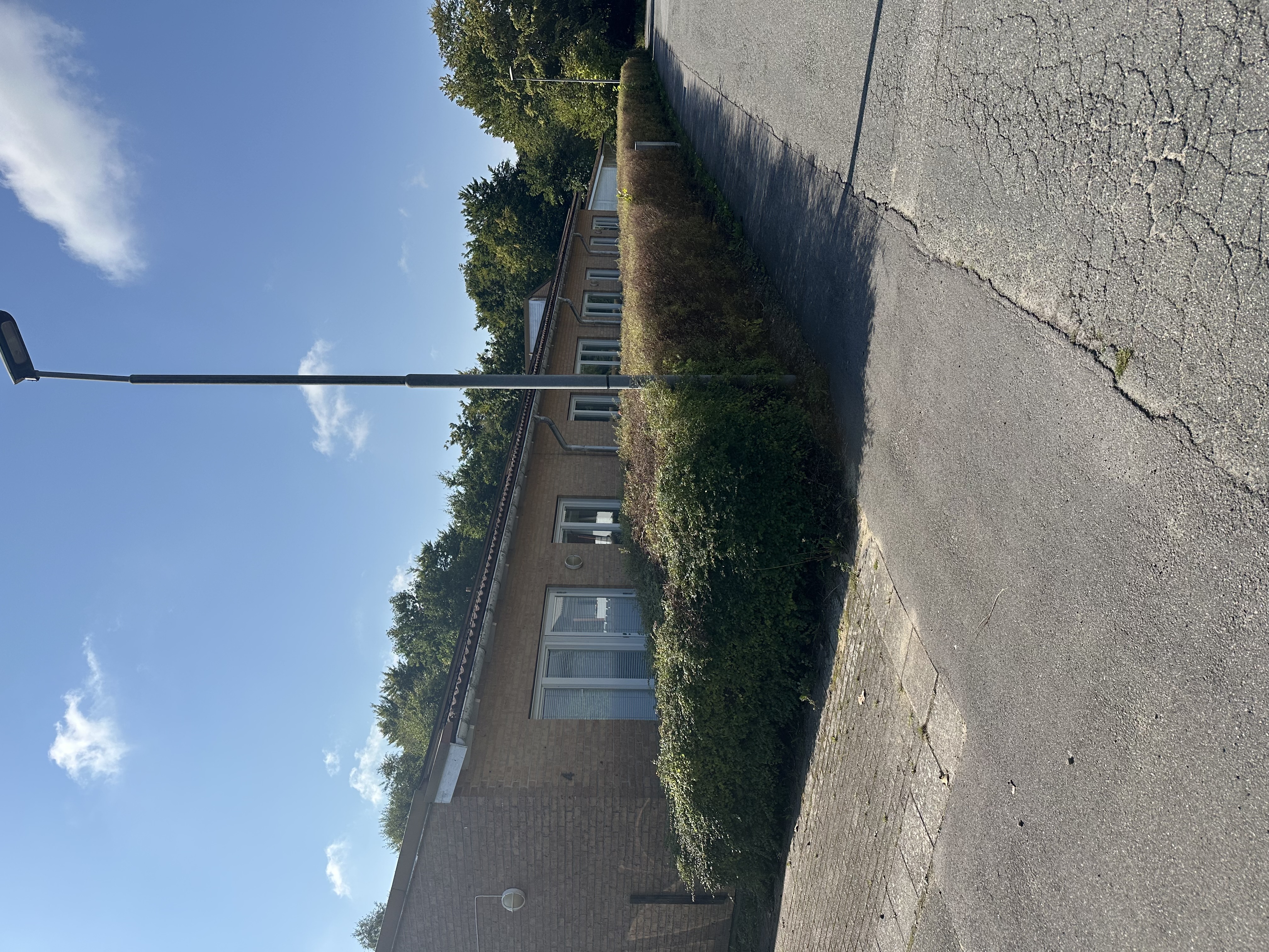 Skogsvägen