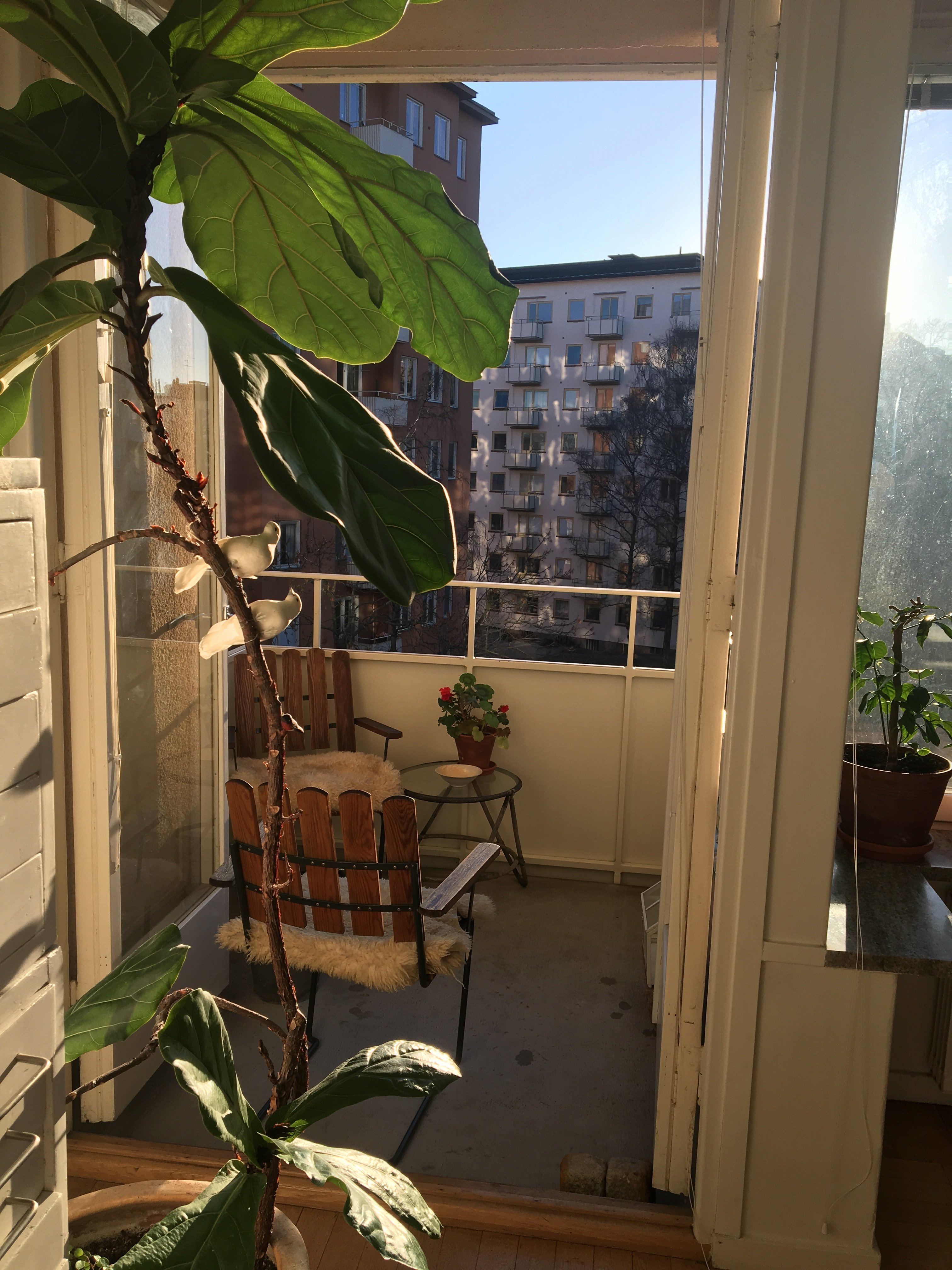 Rindögatan, Stockholm — photo 2