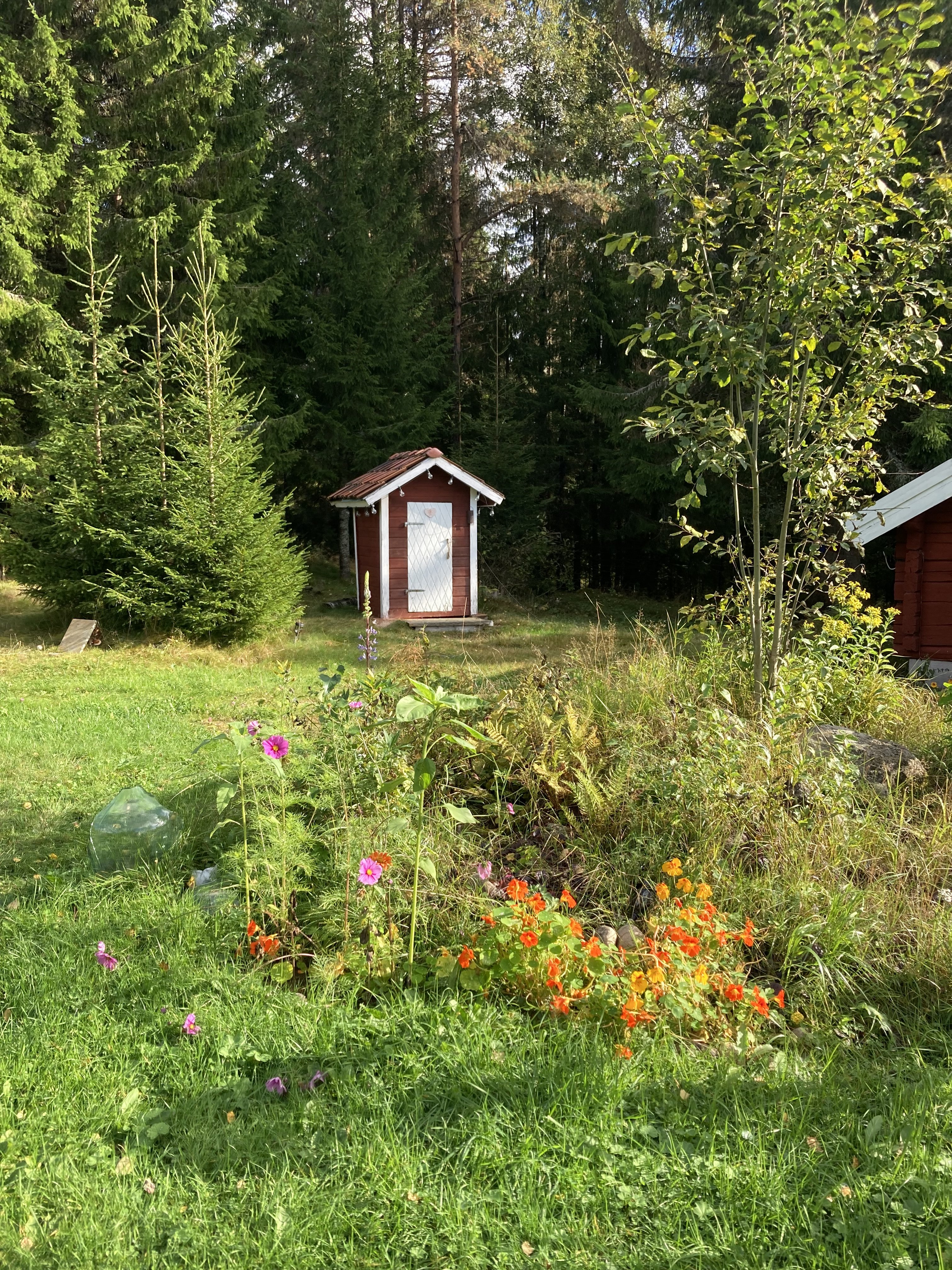 3 rok · 70 m² i Svärdsjö – bild 13