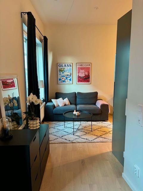 1 rok · 29 m² i Helsingborg – bild 7