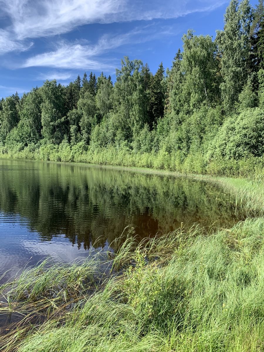 Lägenhet – Hedemora, Brunna villaområde, Backa - Bild 4