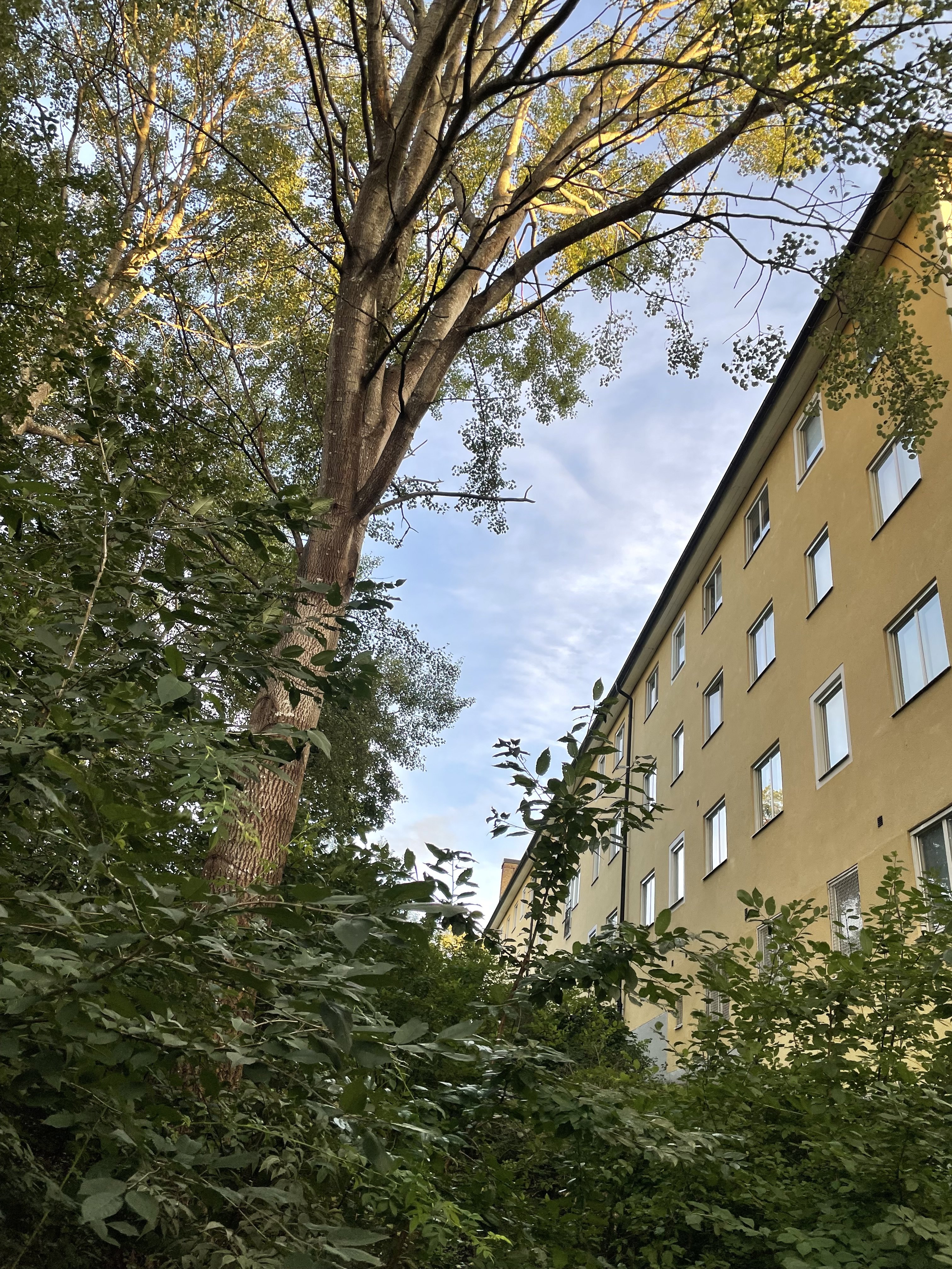 Fågelstavägen, Bandhagen — photo 5