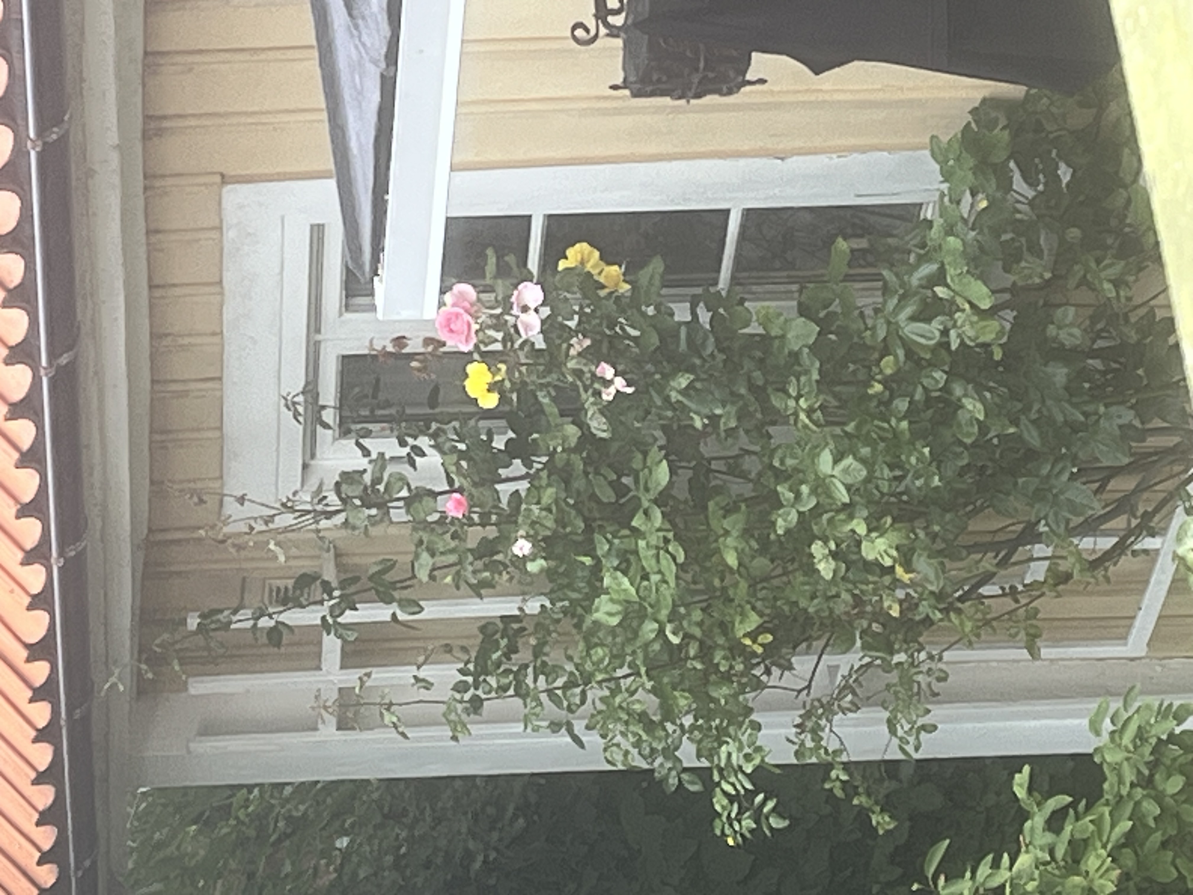 Lägenhet, 4 rum, 89 kvm, Karlskrona