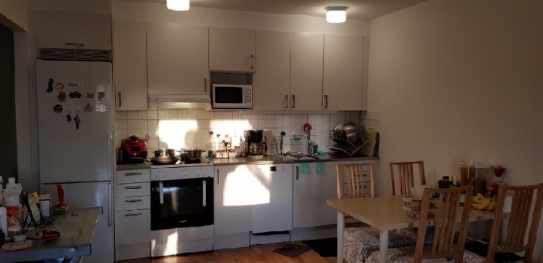 Åkerbruksgatan, Lund — photo 2