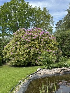 Kungsportsvägen