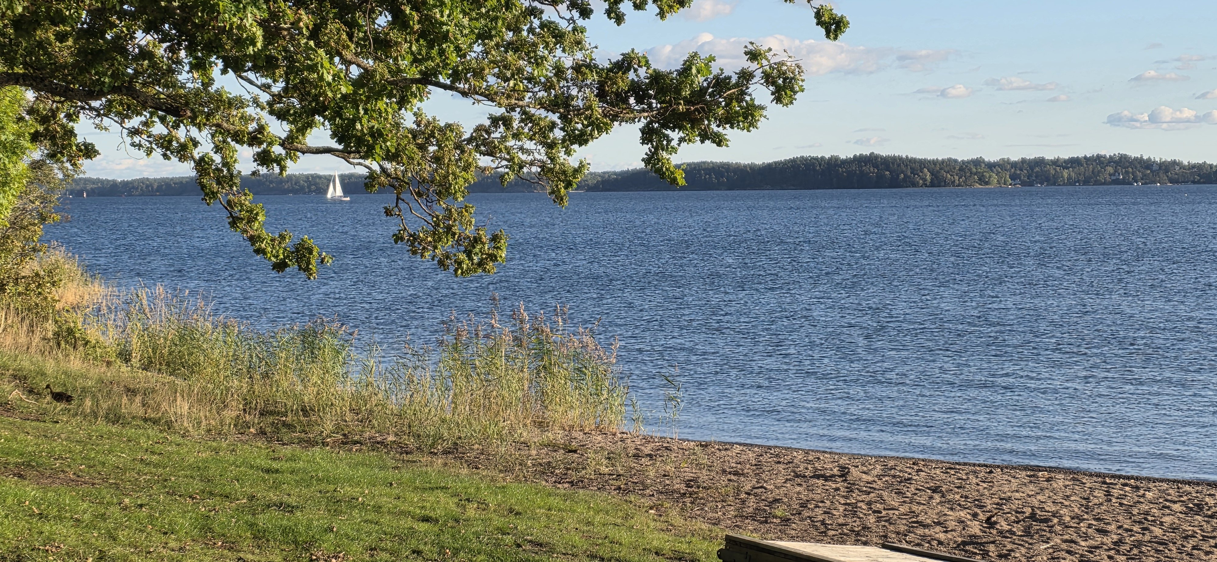 2 rok · 30 m² i Åkersberga – bild 16