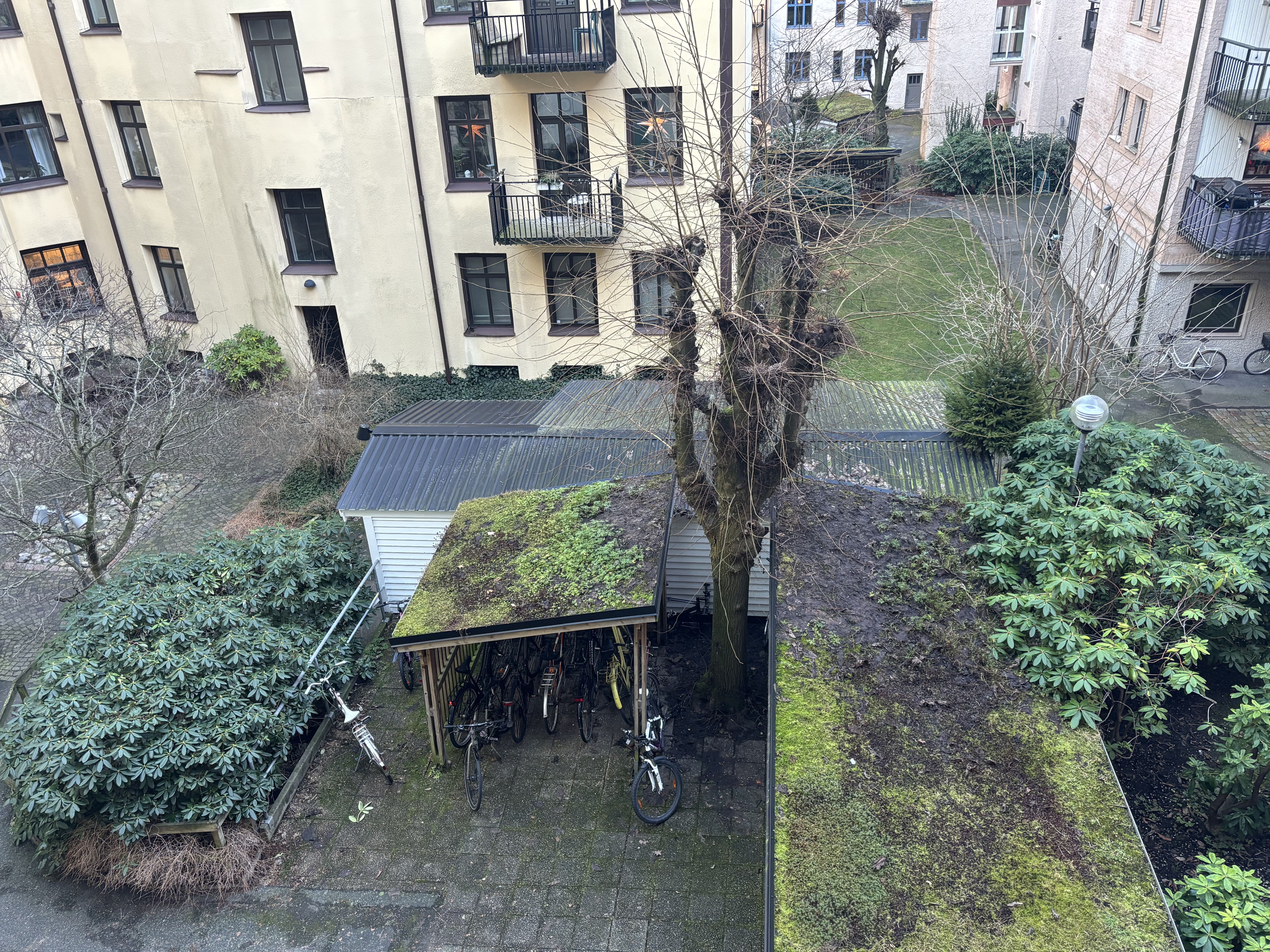 Vegagatan, Göteborg — photo 2