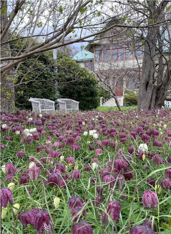 Örgryte kyrkogata, Göteborg — photo 5